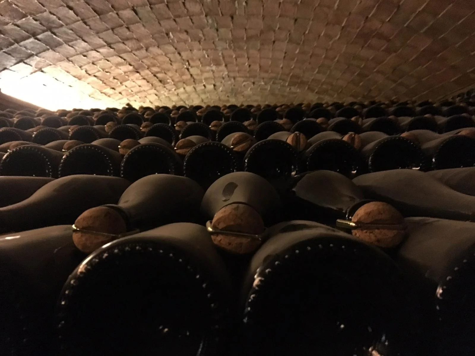 WhatsApp Image 2024-01-22 at 11.00.23.jpeg