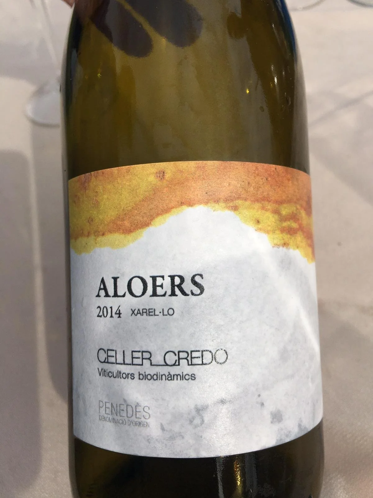 WhatsApp Image 2024-01-22 at 11.00.21.jpeg