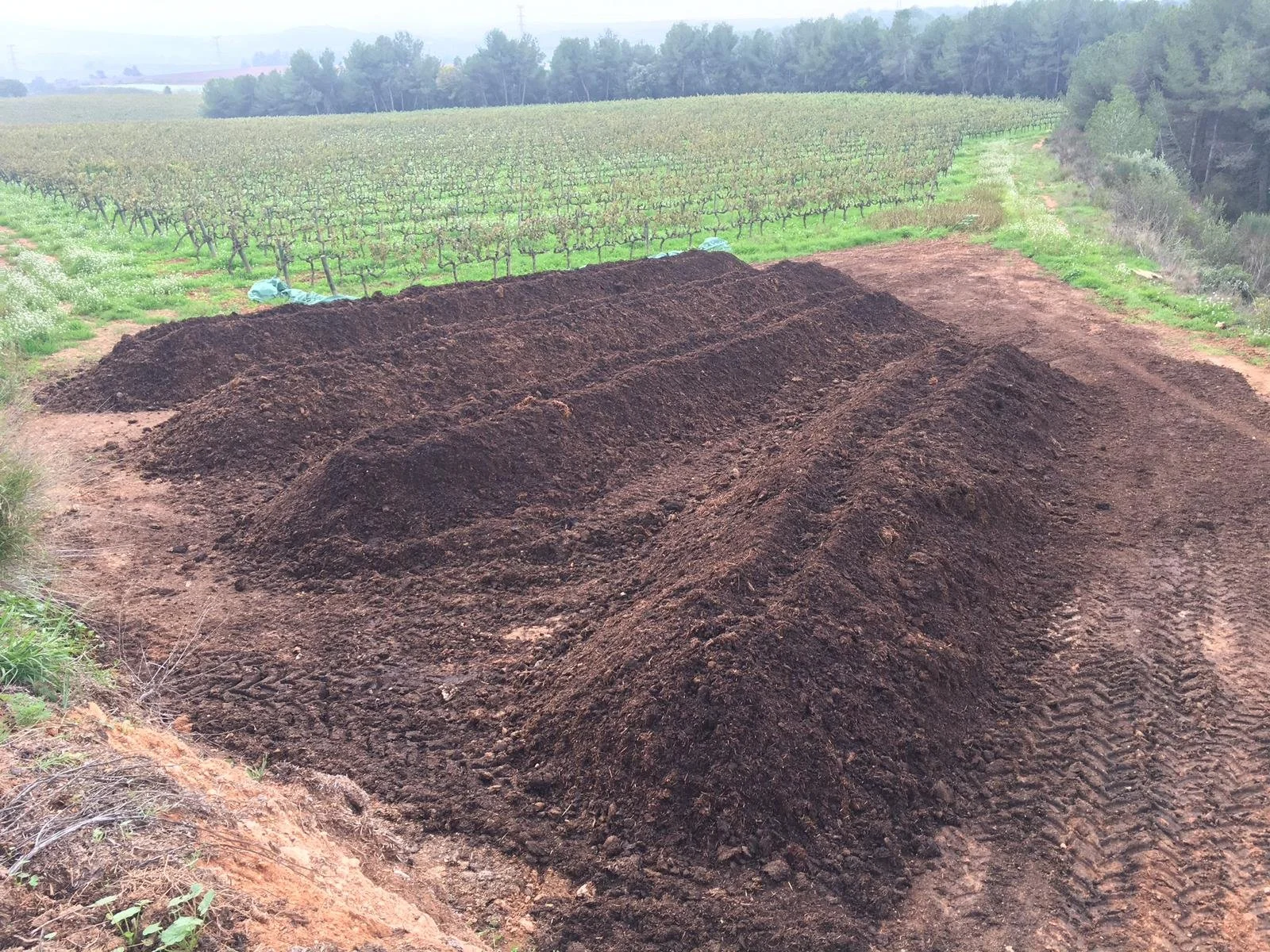 WhatsApp Image 2024-01-22 at 11.00.18.jpeg