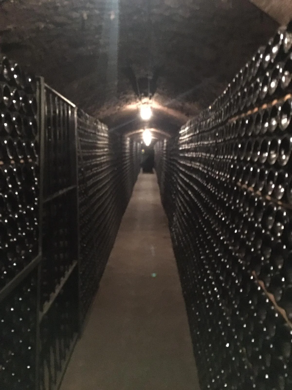 WhatsApp Image 2024-01-22 at 11.00.25.jpeg