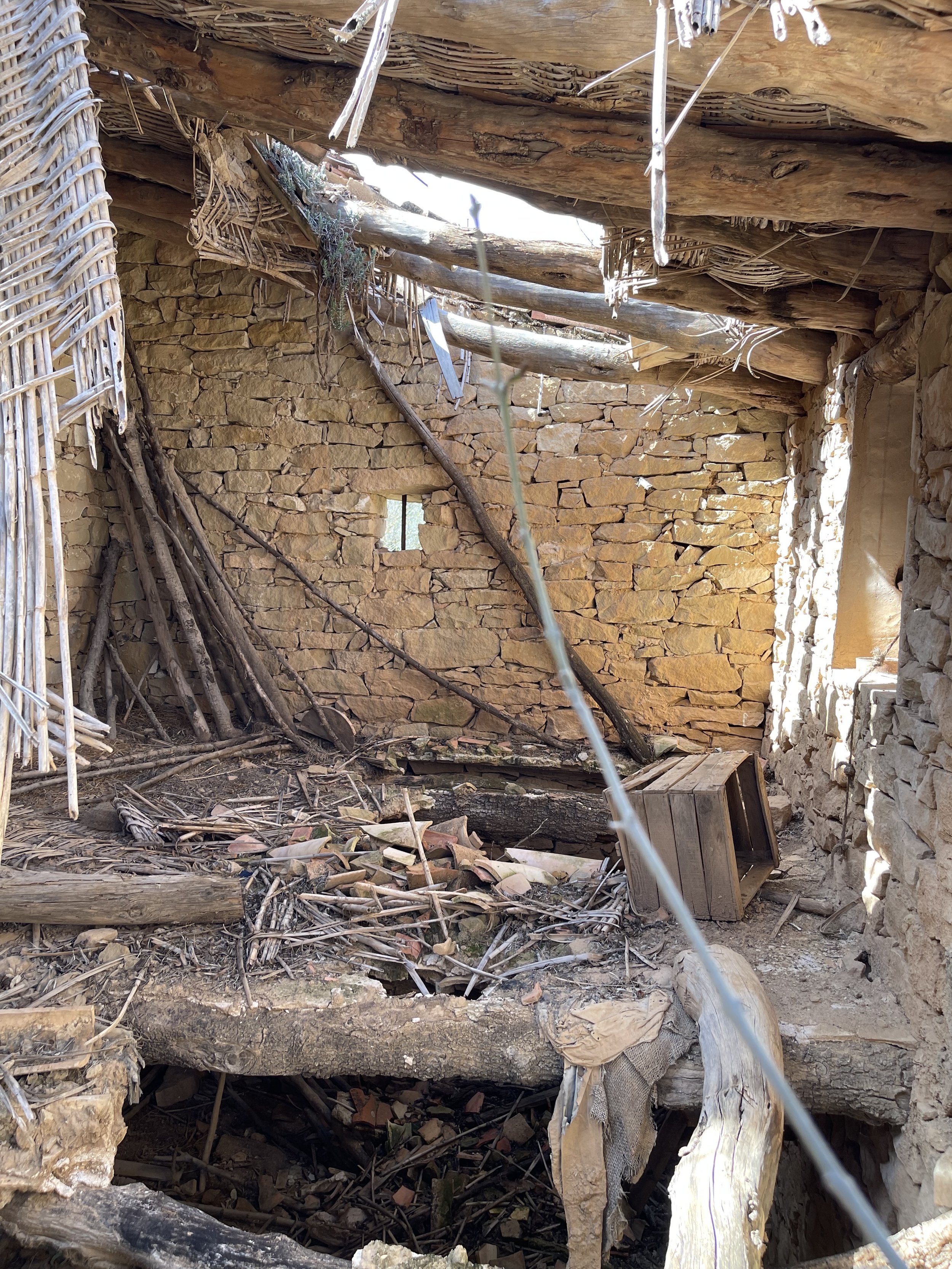 Gratitude amidst letdowns