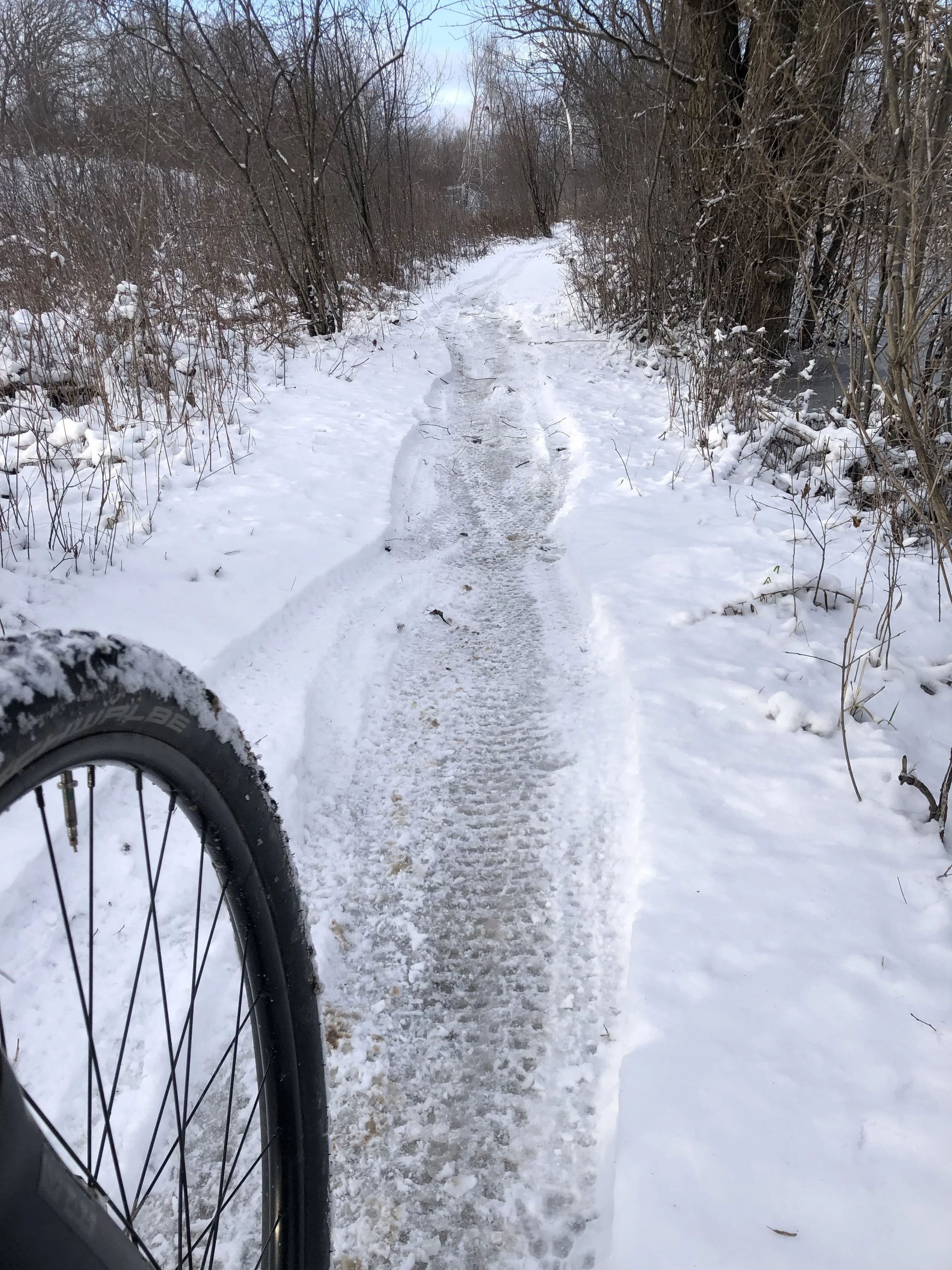 The Joy of Living 2023