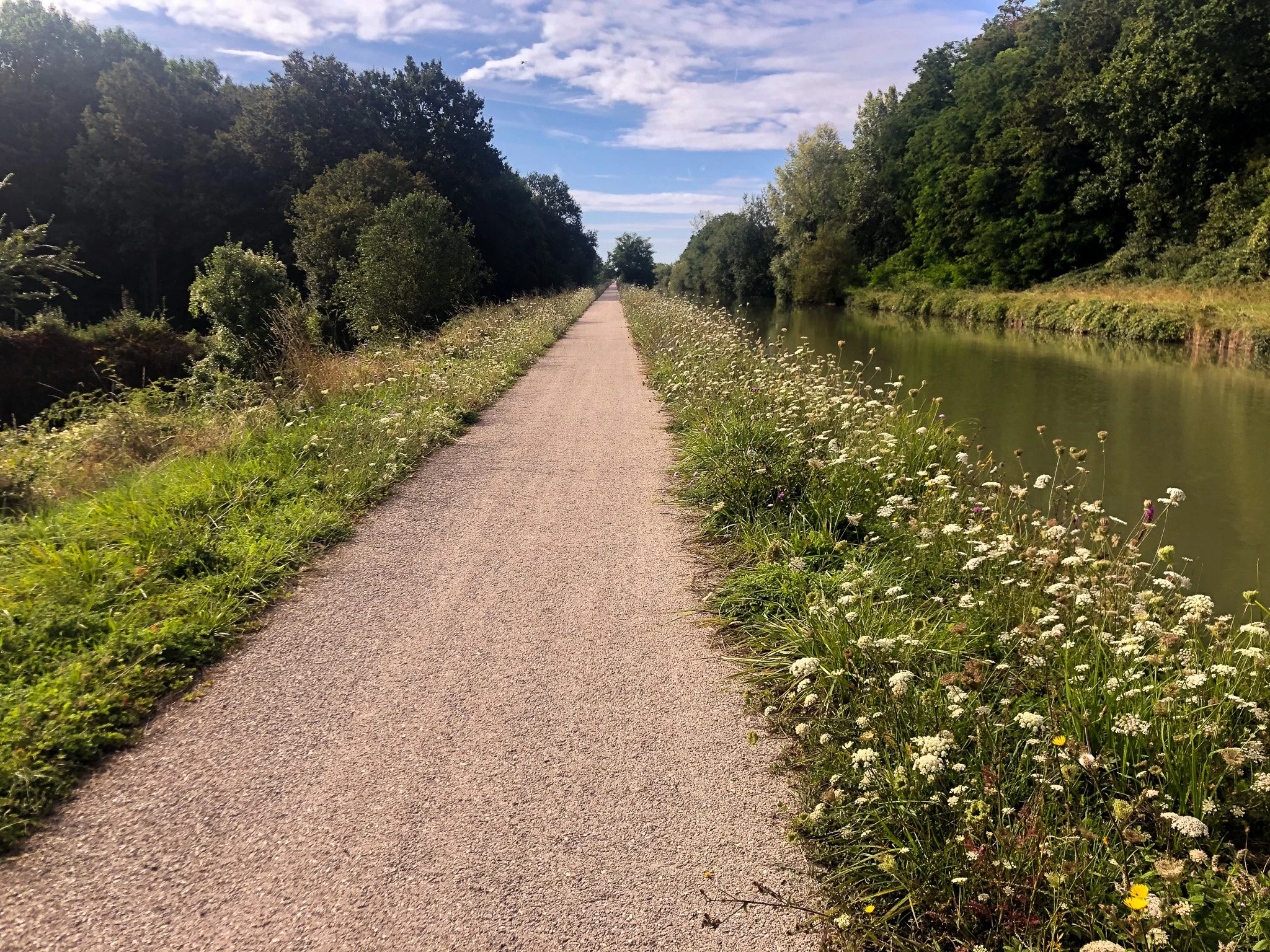 The Beauty of the Countryside