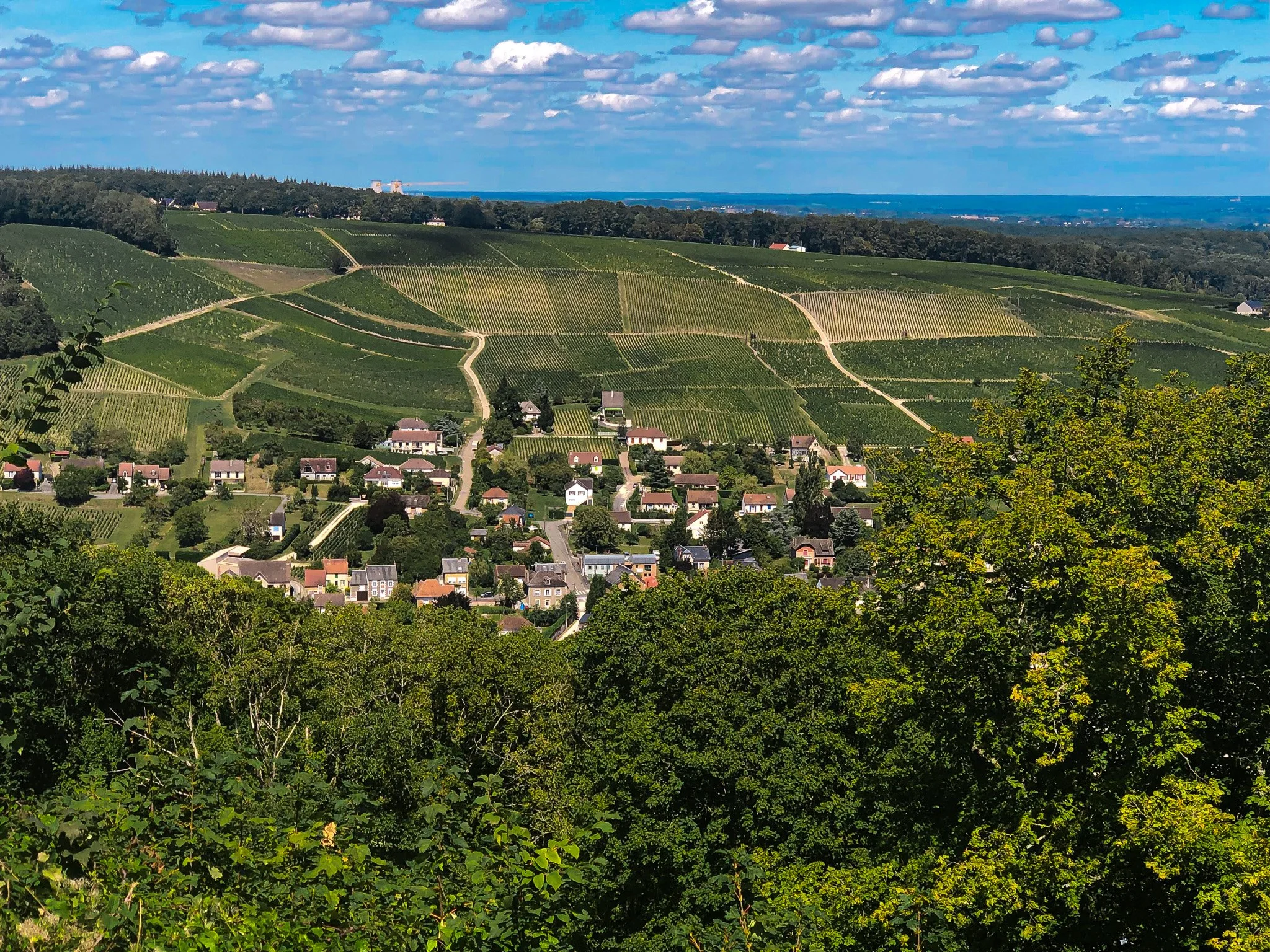 Sancerre 