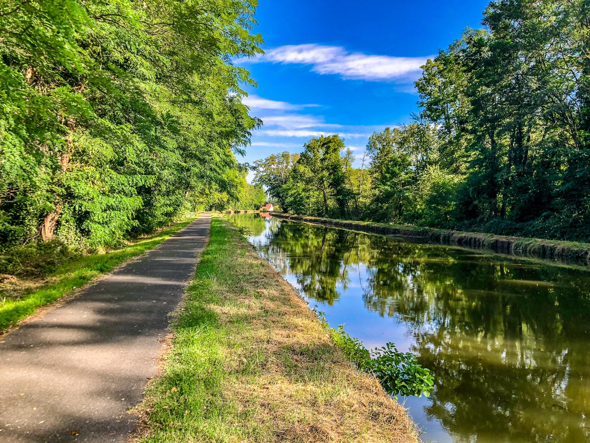 Exploring the Canals 