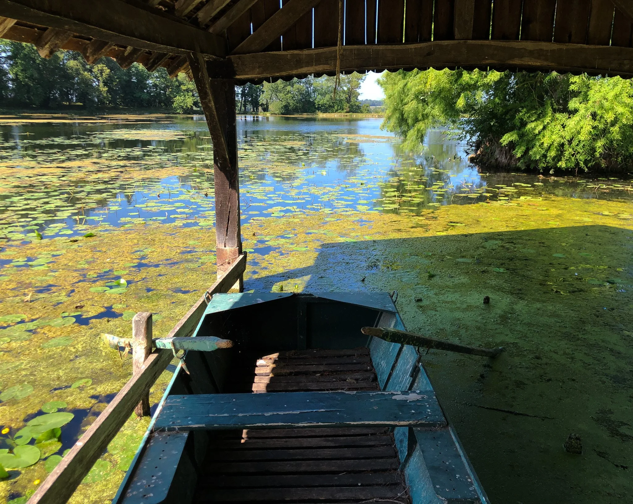 Just being out there