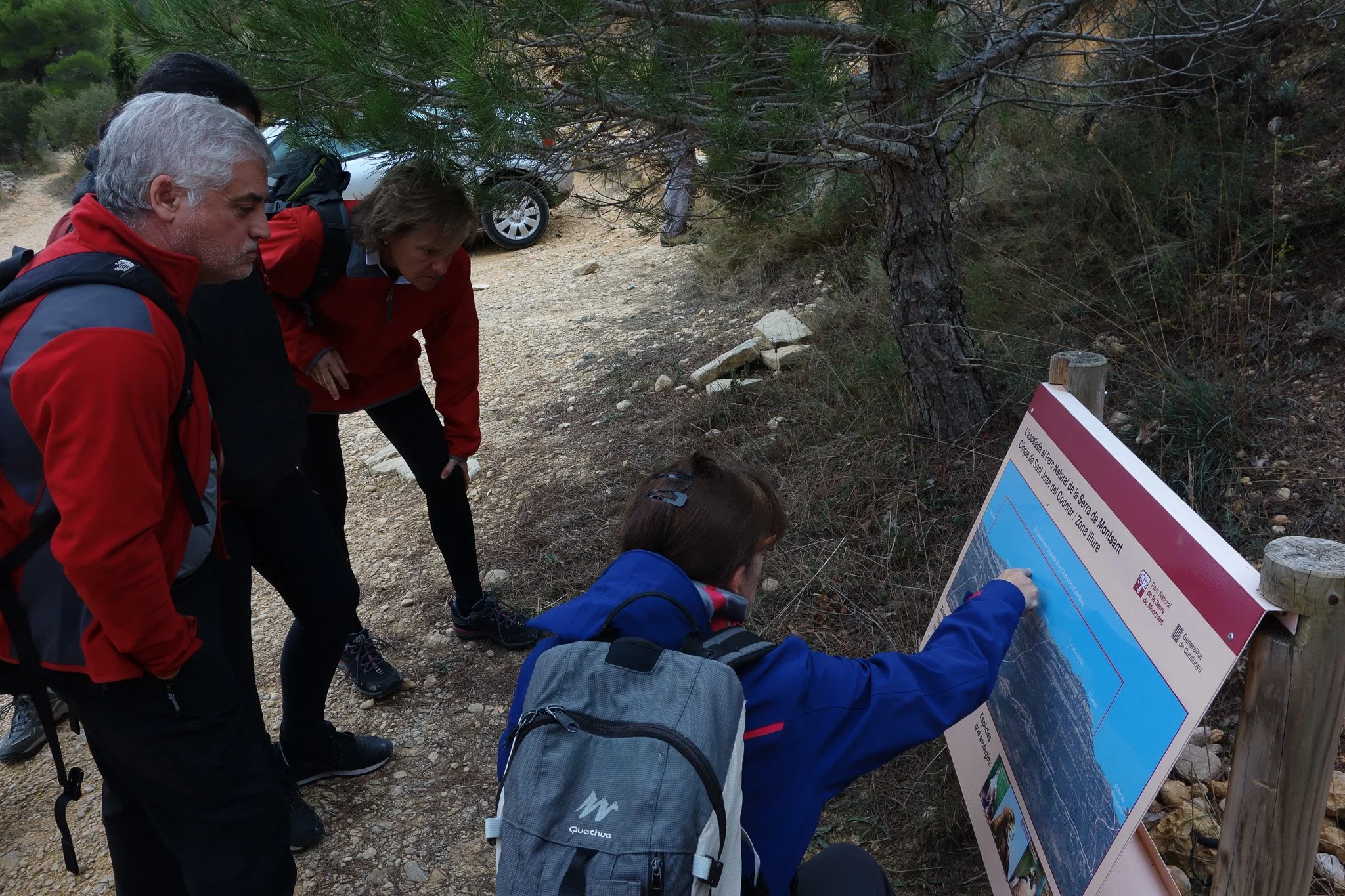 Hiking and Picknicking