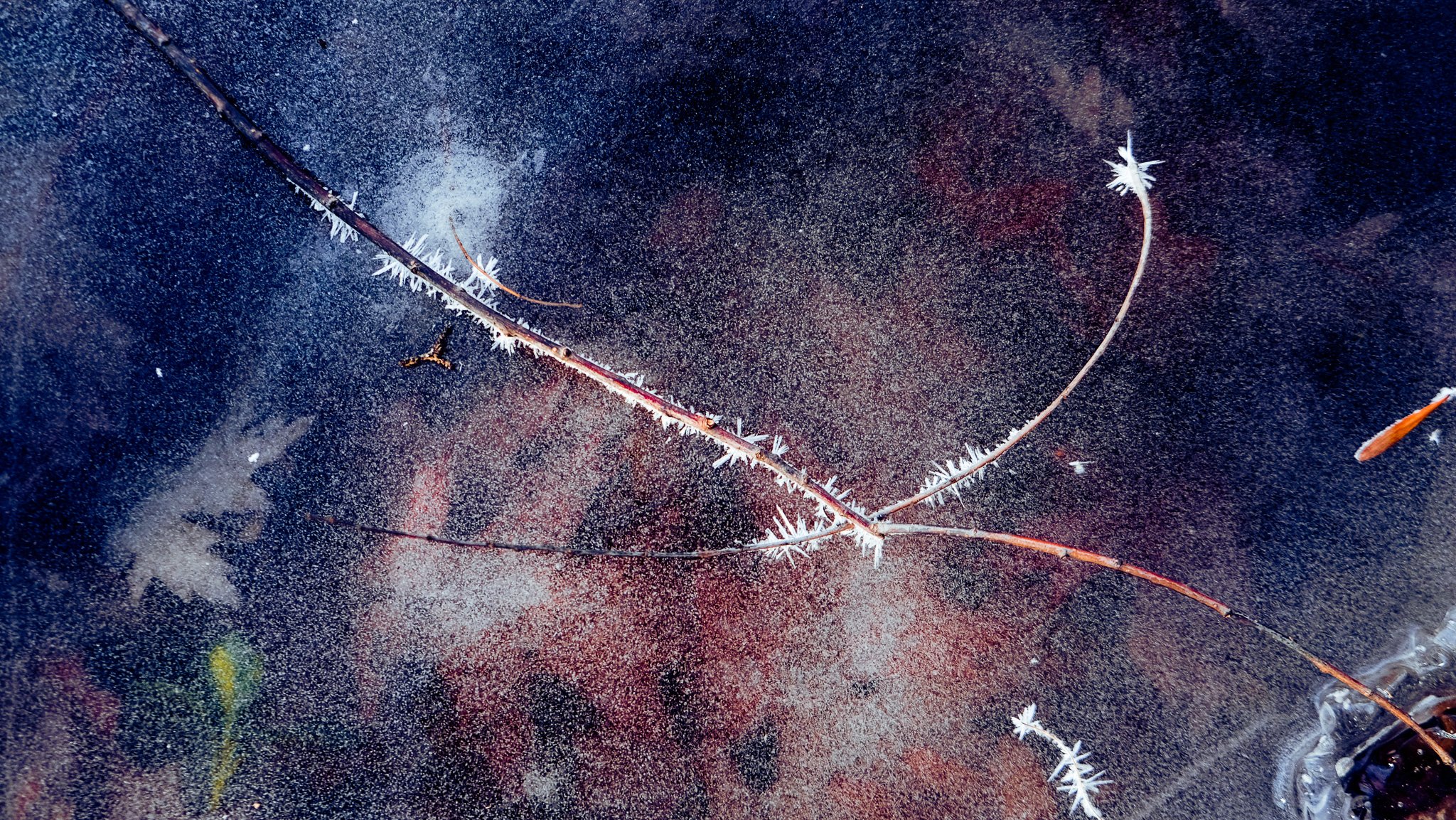 _DSF8177.jpg
