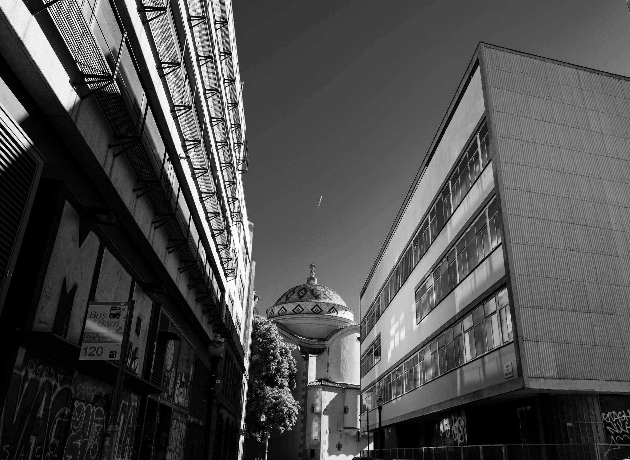 L1020581.jpg