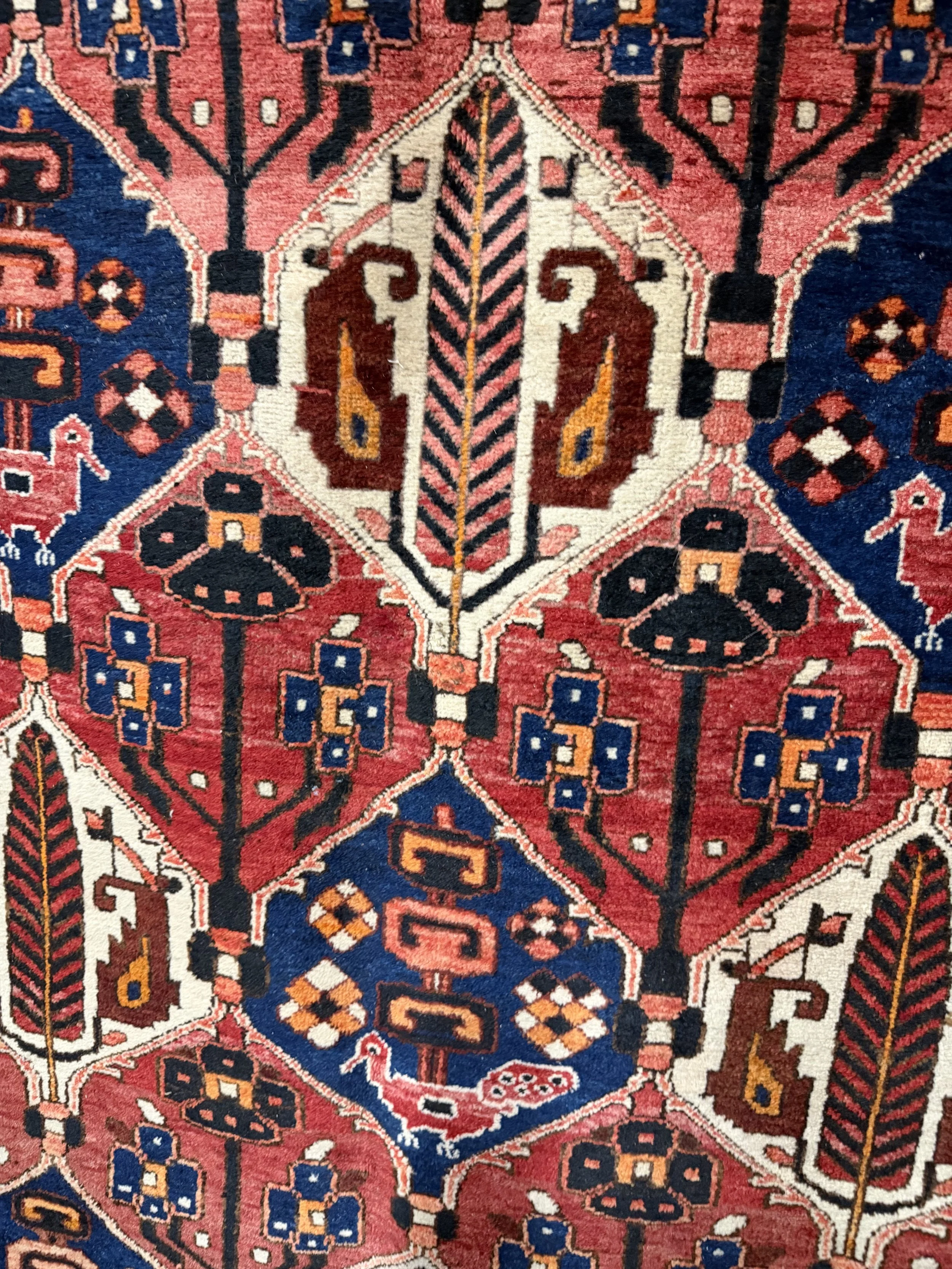 This is a picture of a very beautiful hand knotted wool on cotton Persian Bakhtiari rug c1970.