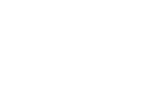 PAVC.png