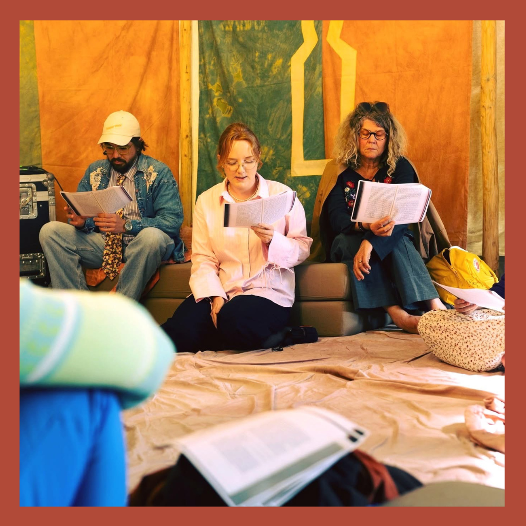 GUIDET FÆLLESLÆSNING PÅ TURKIS: USYNLIGE FORBINDELSER