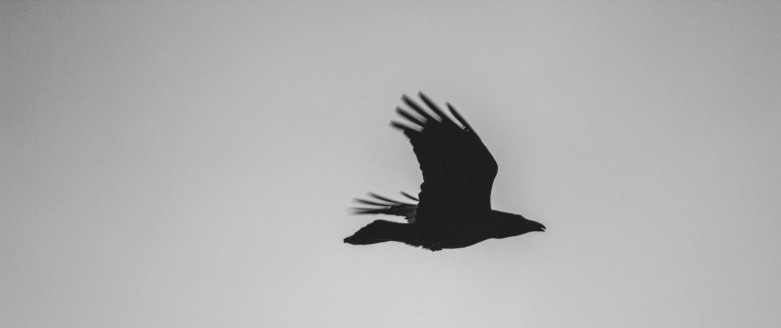 unsplash-image-q32qOWVkzx4.jpg