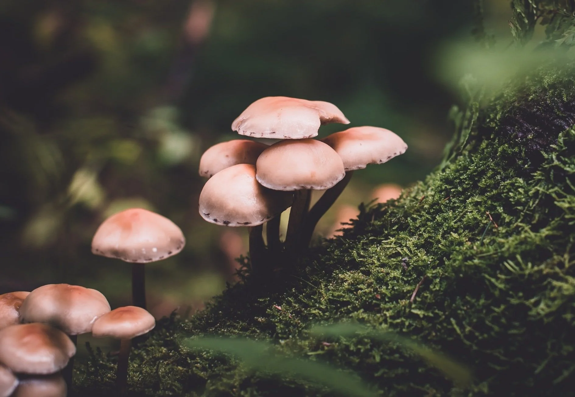 unsplash-image-QN6NkYi3CKs.jpg