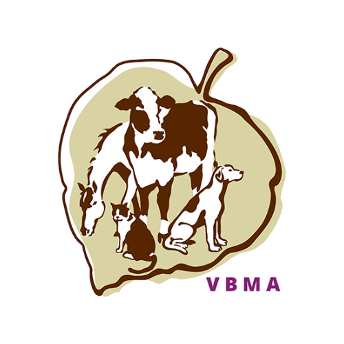 vbma.png