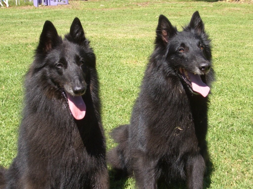 Rumour and Bebo