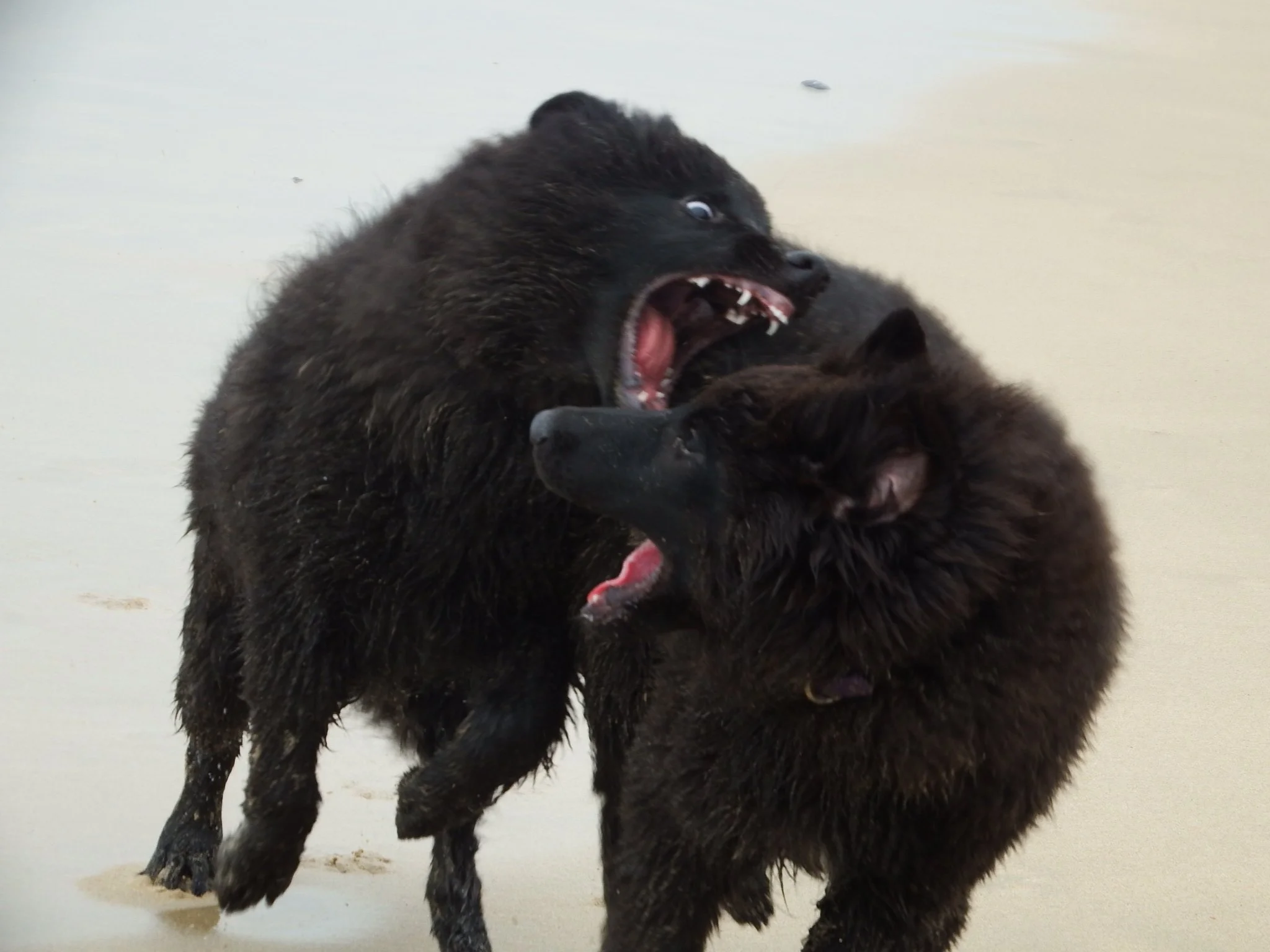 Kiss and Lany 2020 January 2.jpeg