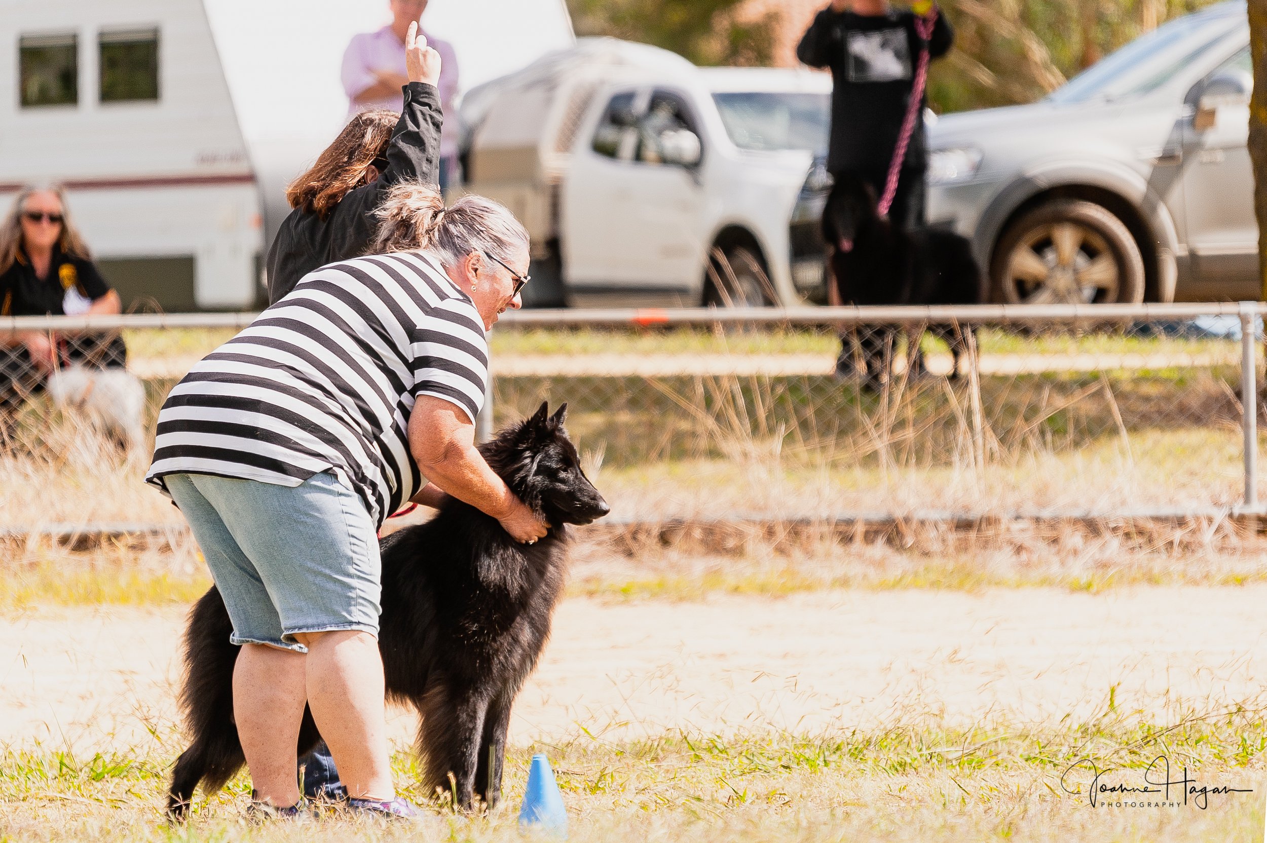 Lure Coursing