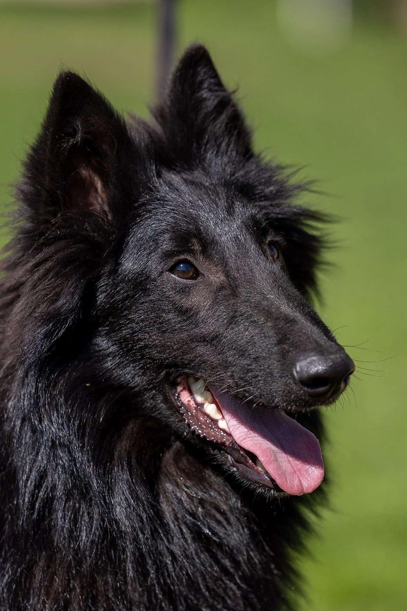 Urbain Comme Un Reve Noir 