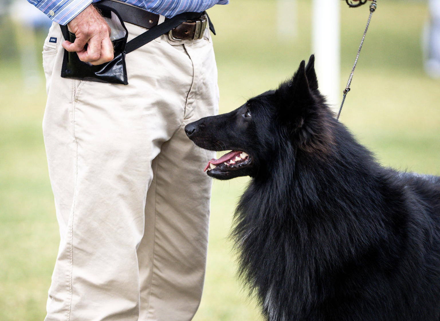 Urbain and Adam in the show ring