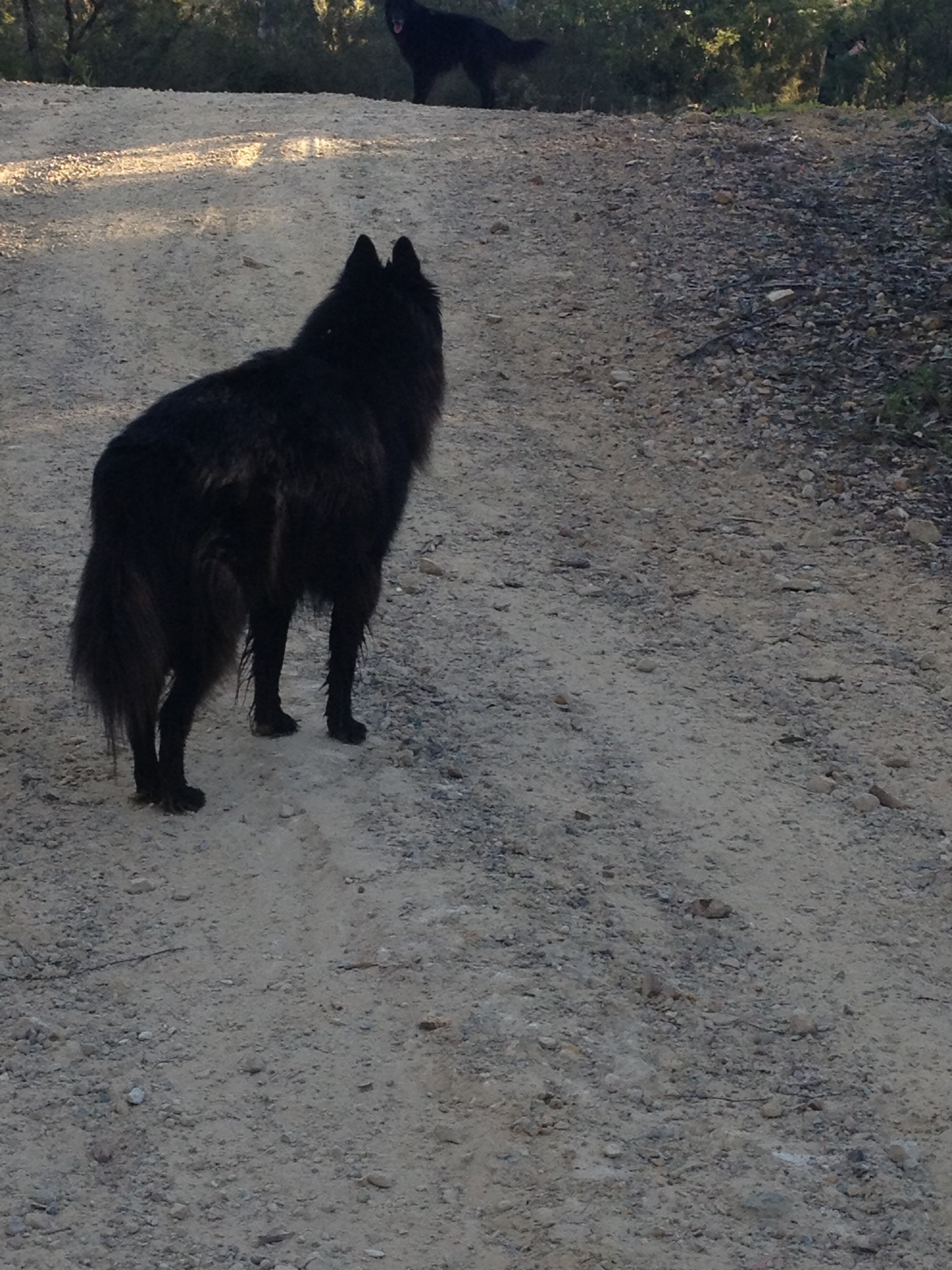 Truth off on a walk