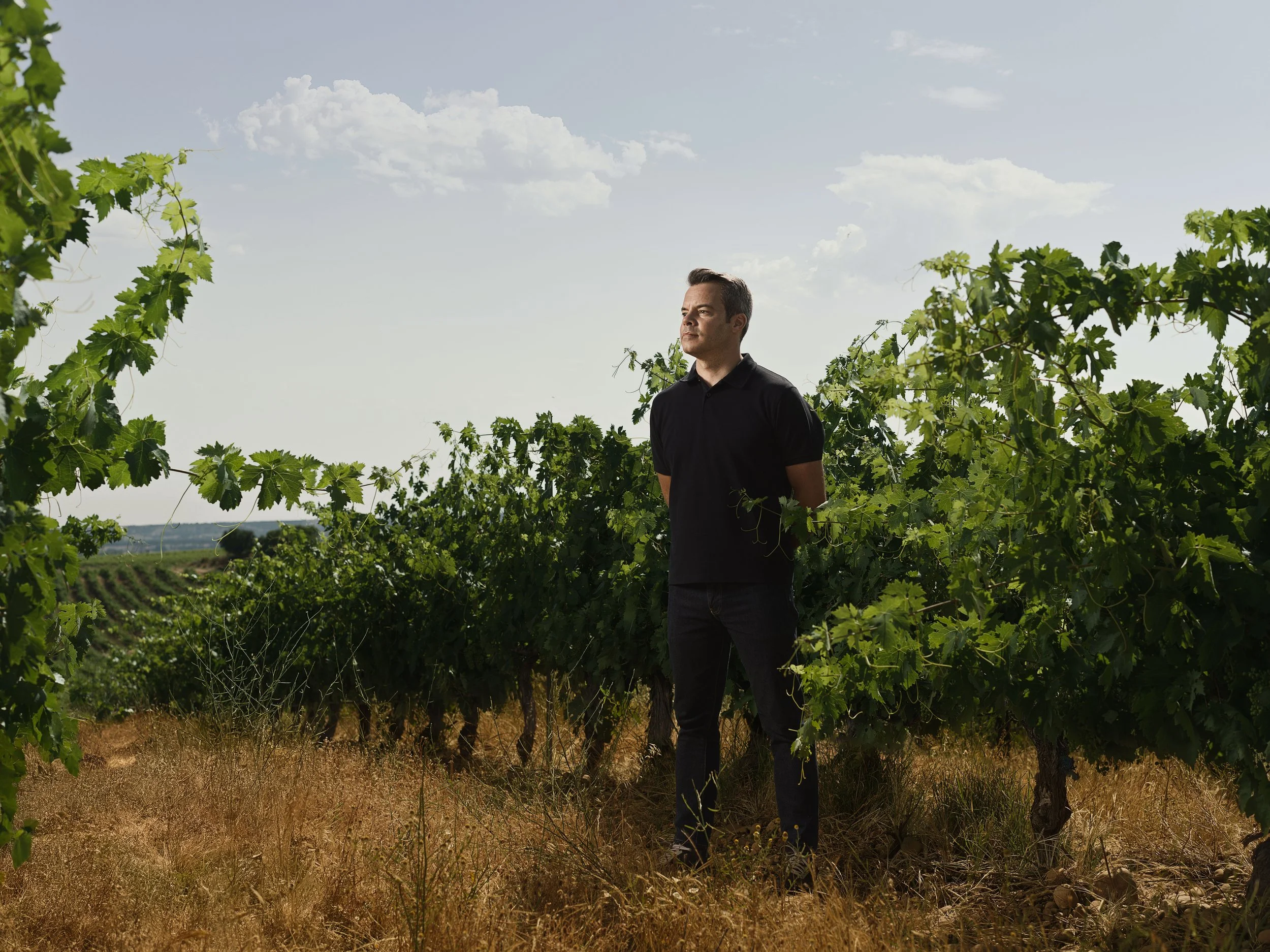 The Wine Land - Spain