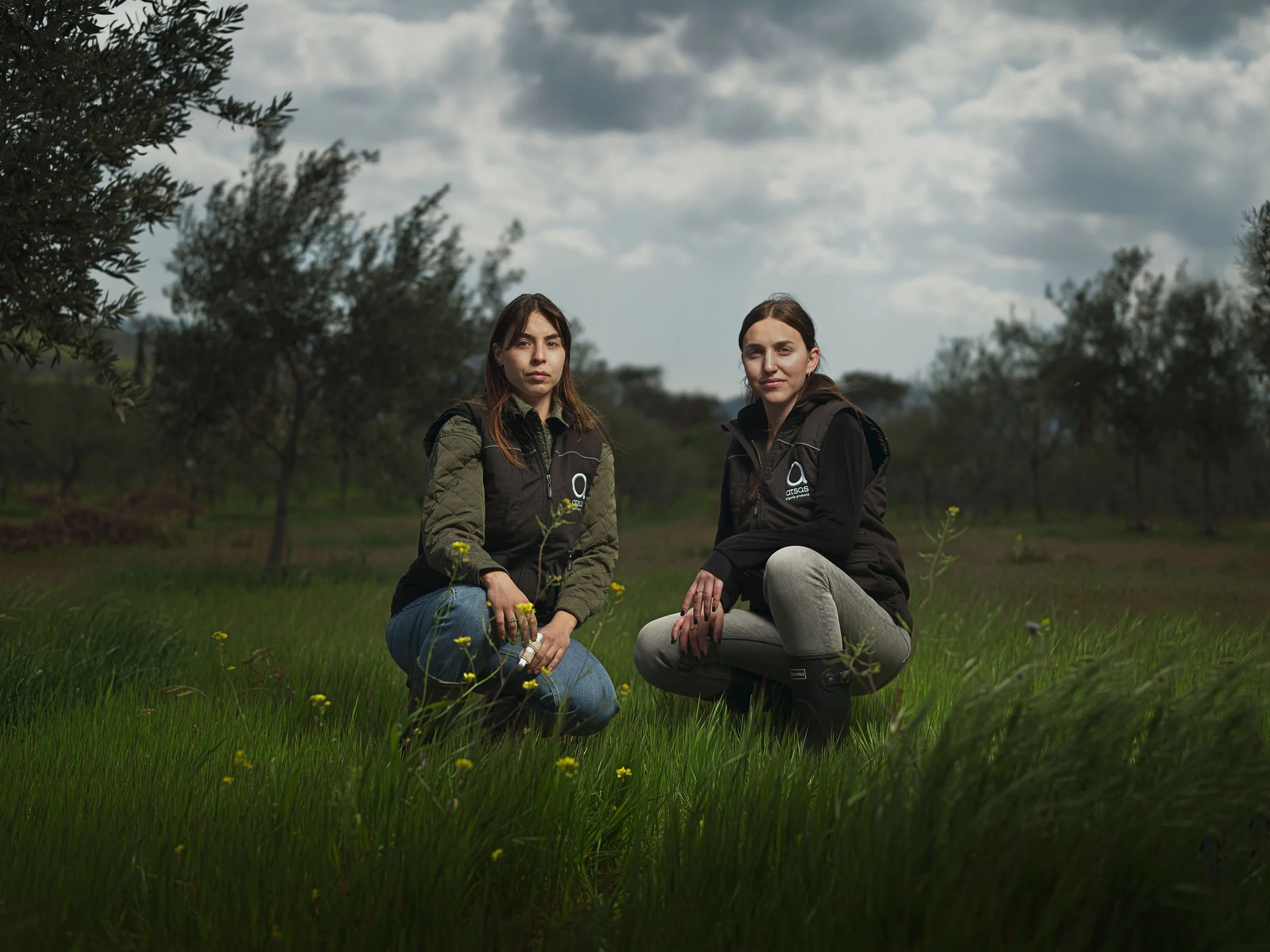 The Olive Fields - Cyprus