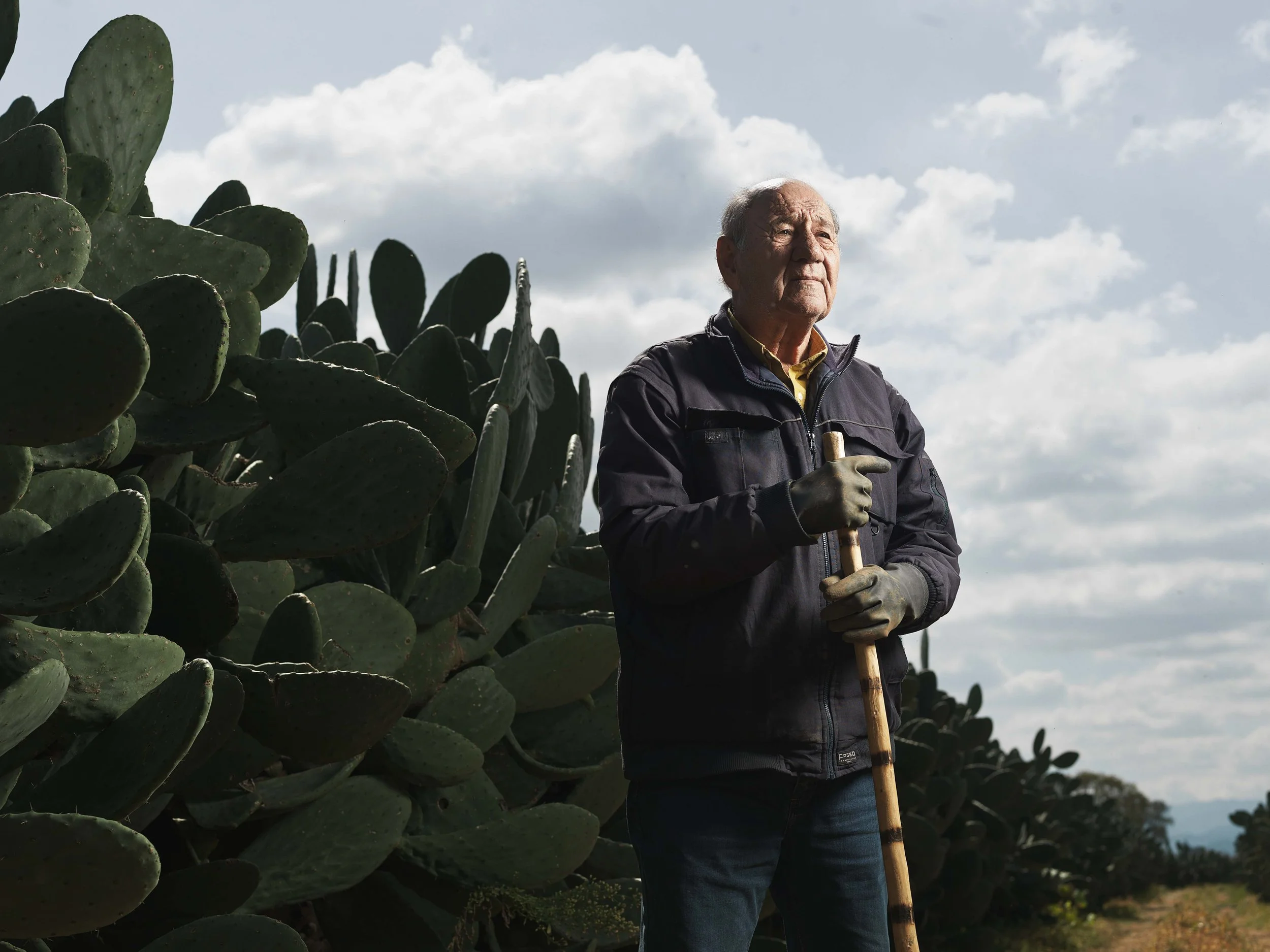 Grounded_Cactus_Fruit_0003.jpg