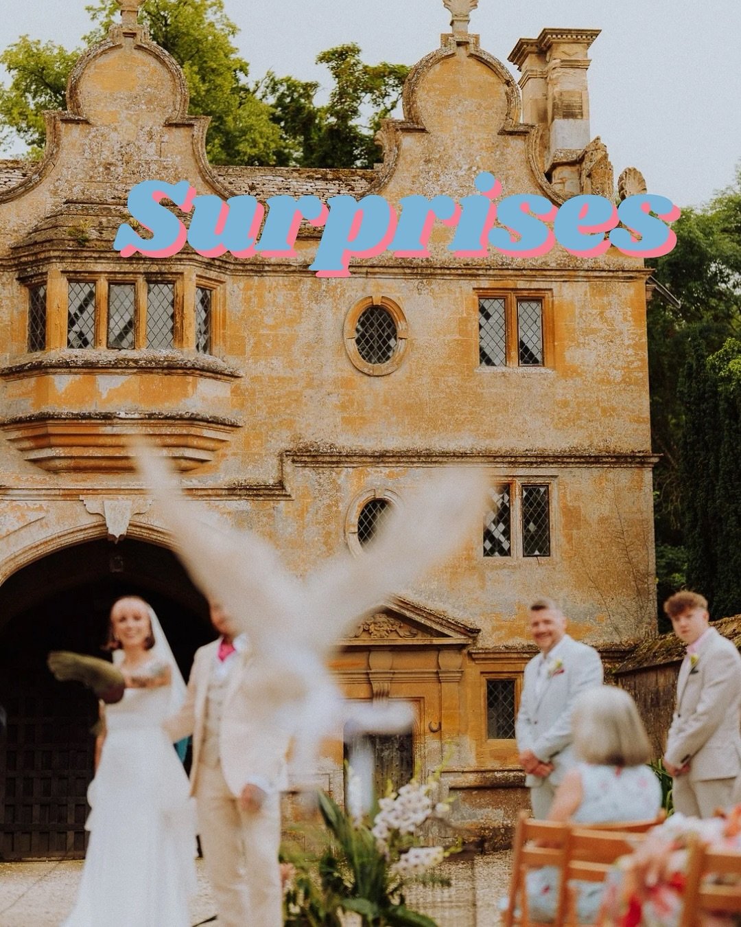 I love when couples plan surprises for each other on their wedding day 🥹 This one was definitely a show stopper - an owl ring bearer 🦉✨

Second shooting for @scarlettcookphotography 

Day 21 of the #adventweddingchallenge2025 - surprises