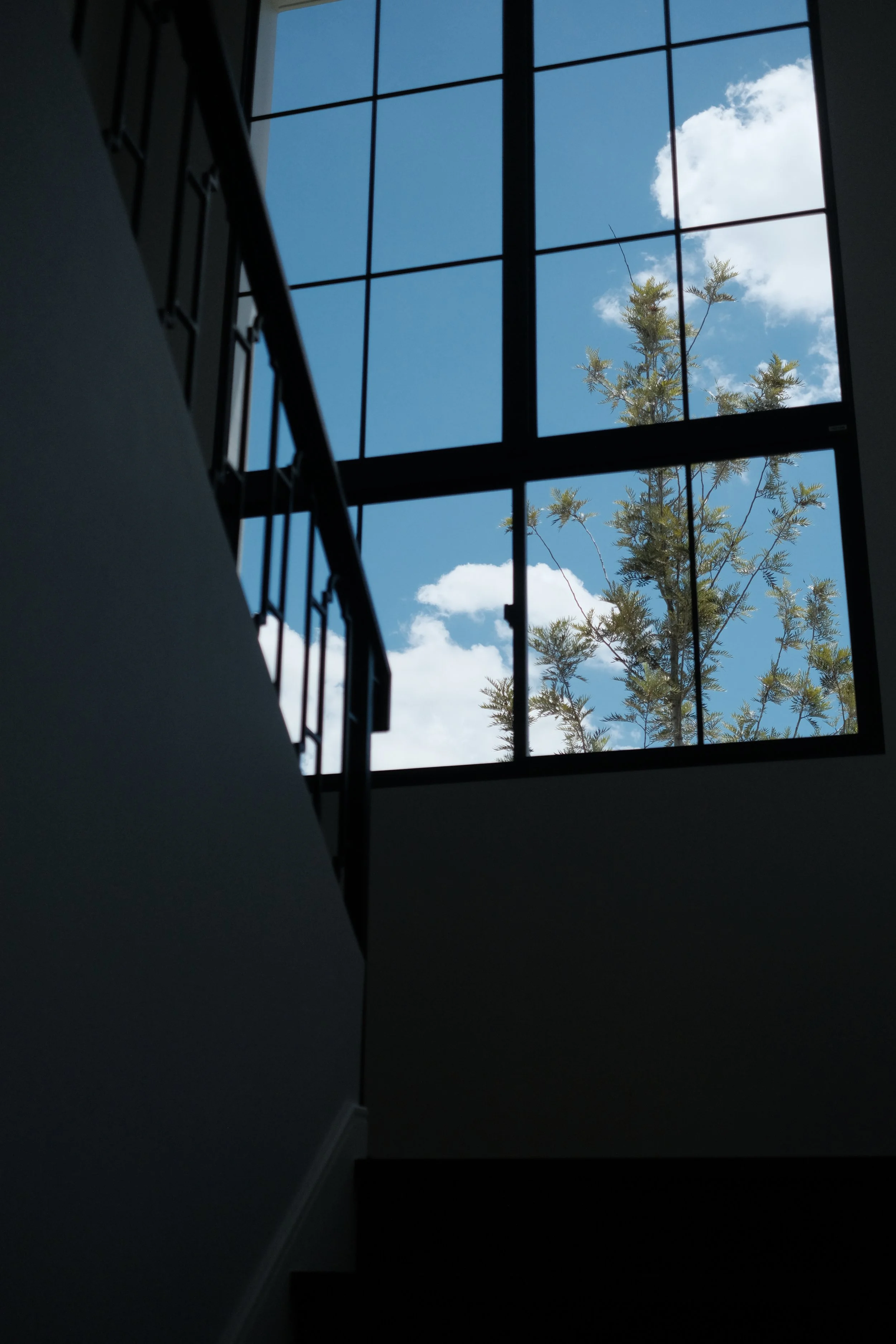 DSCF4566.JPG