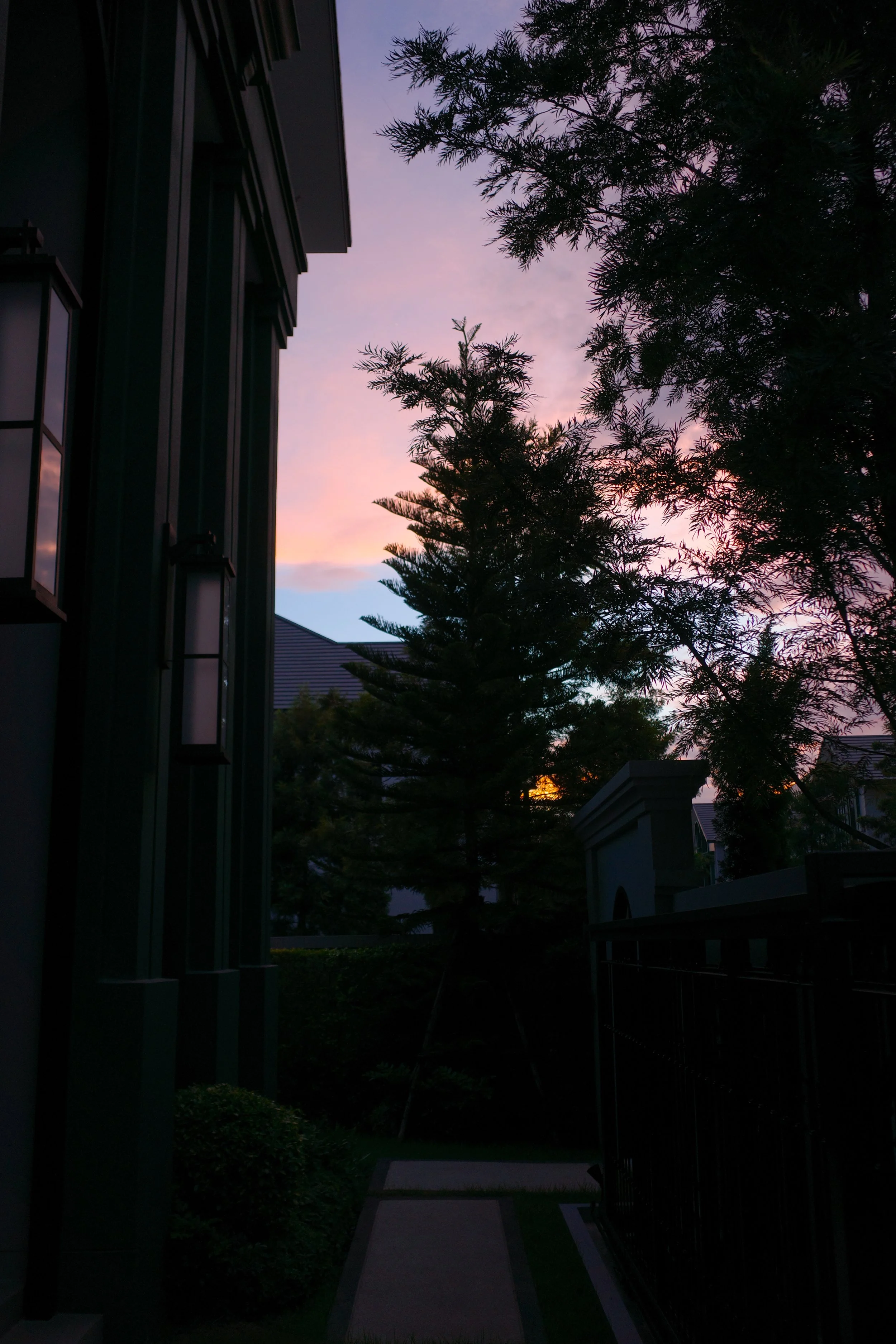 R0003867.jpg