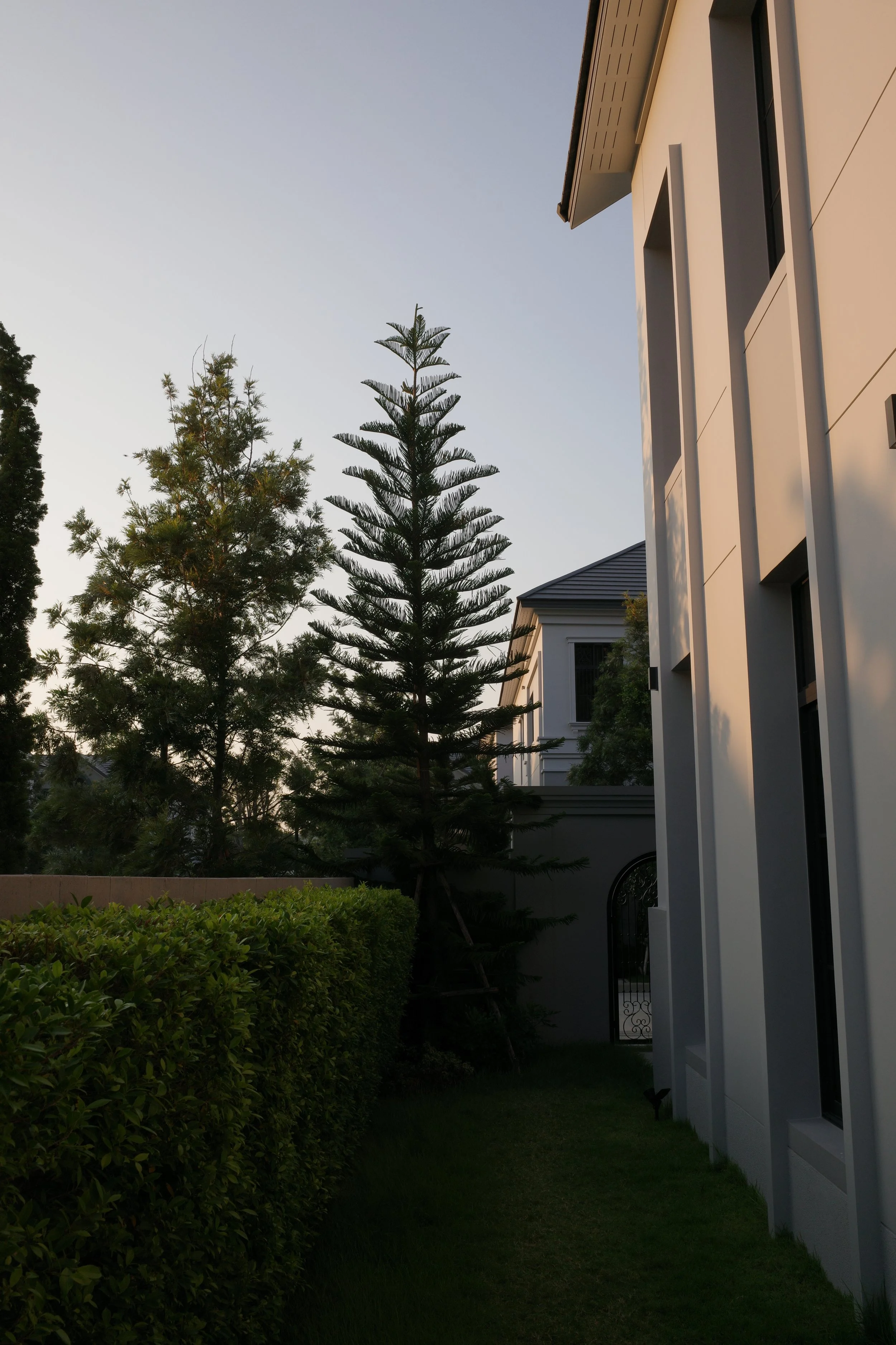 R0002467.JPG