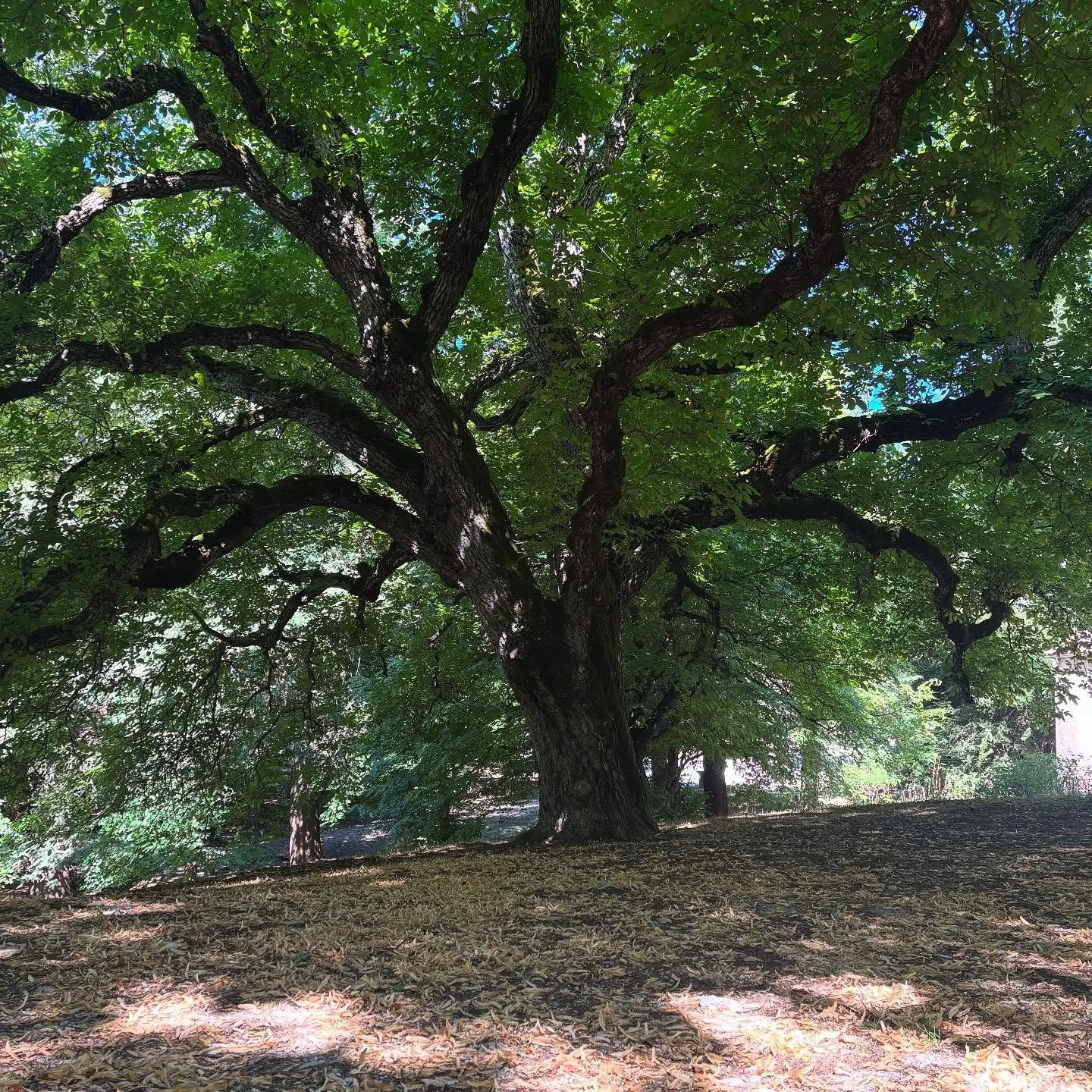 Il y a des lieux qui sont sacr&eacute;s non pas parce qu&rsquo;ils sont d&eacute;di&eacute;s &agrave; un culte ou &agrave; une religion, mais bien parce que nous leur devons un respect absolu.

C&rsquo;est le lieu o&ugrave; r&eacute;side une force d&
