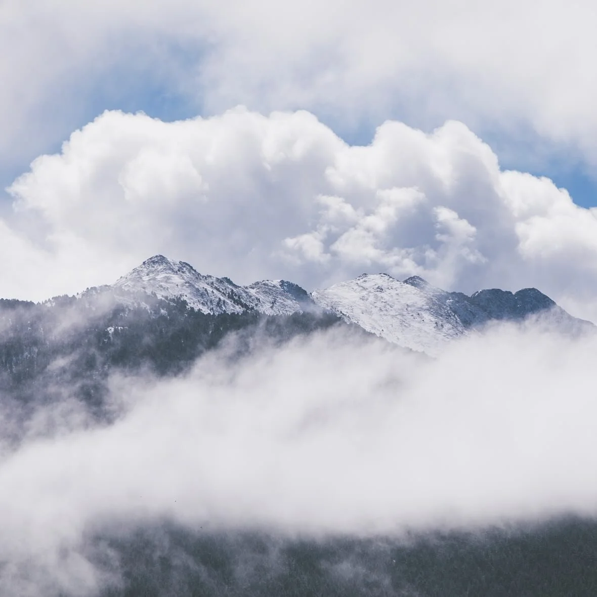 Une montagne enneig&eacute;e en plein hiver&hellip; replonger dans le rythme lent des saisons, dans les enseignements re&ccedil;us par ces 4 ann&eacute;es &agrave; la montagne&hellip;

J&rsquo;ai pris le luxe de vivre &agrave; mon rythme, d&rsquo;all