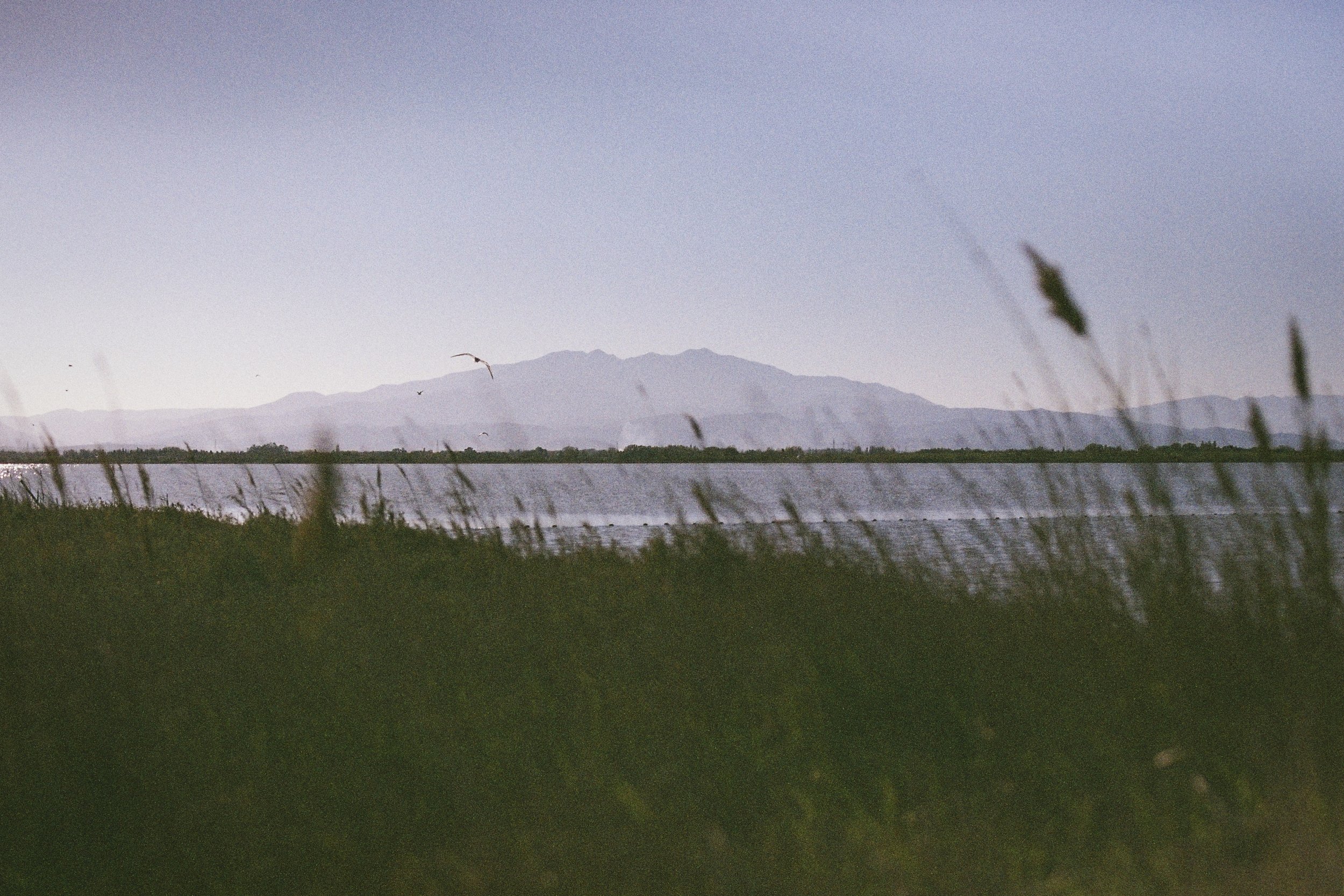 cartepostale1000013.jpg