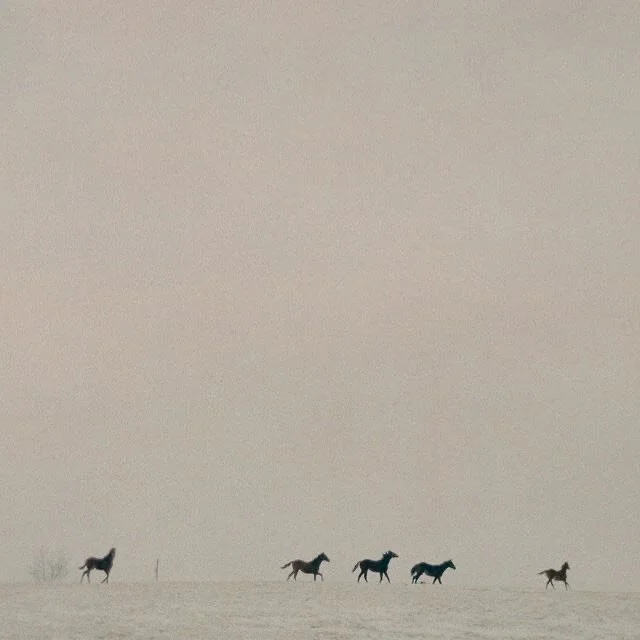 Grateful for it all&hellip; ✨ Forever trusting the mystery .:.:.