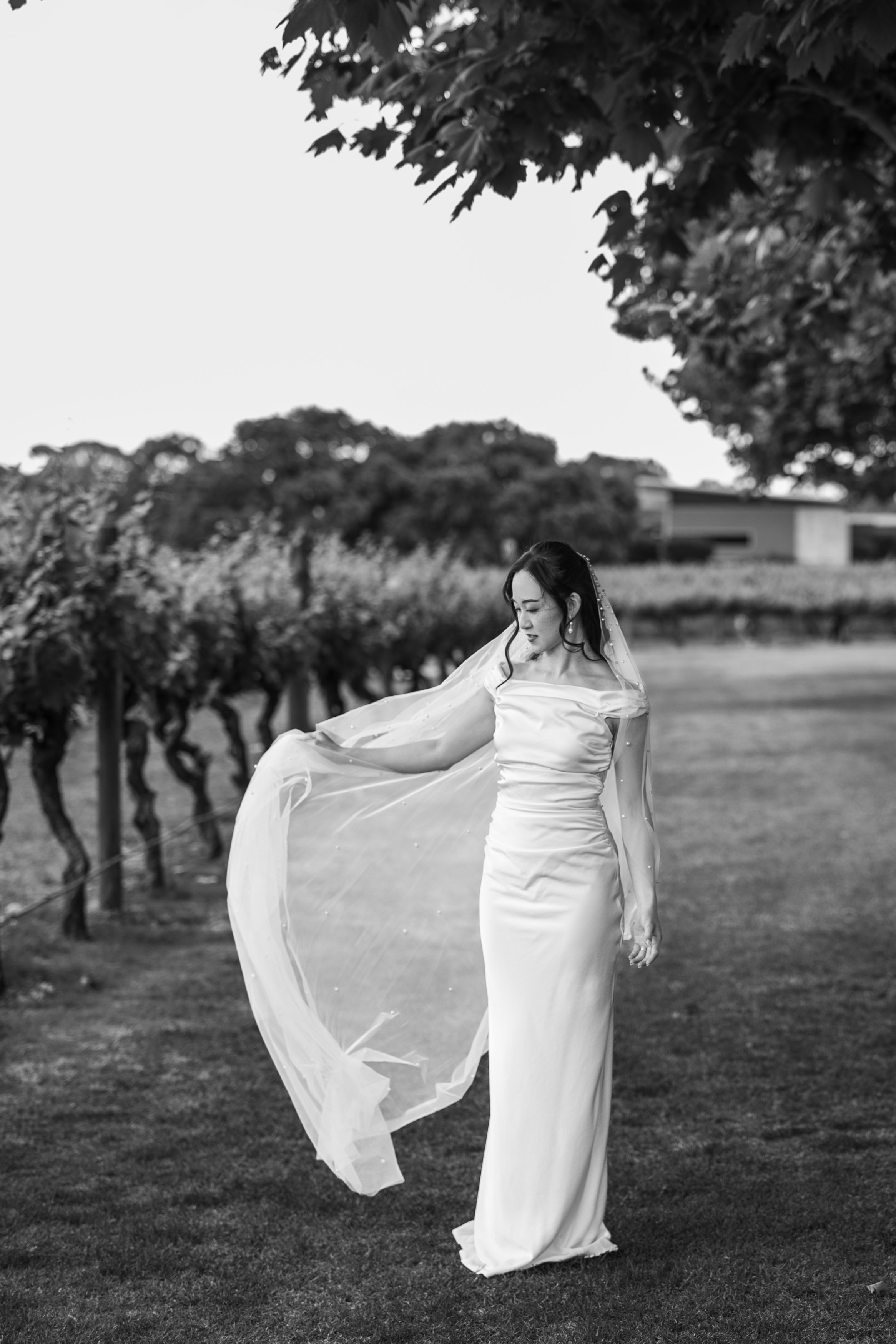 wedding photographer sandalford swan valley black and white bride.jpg