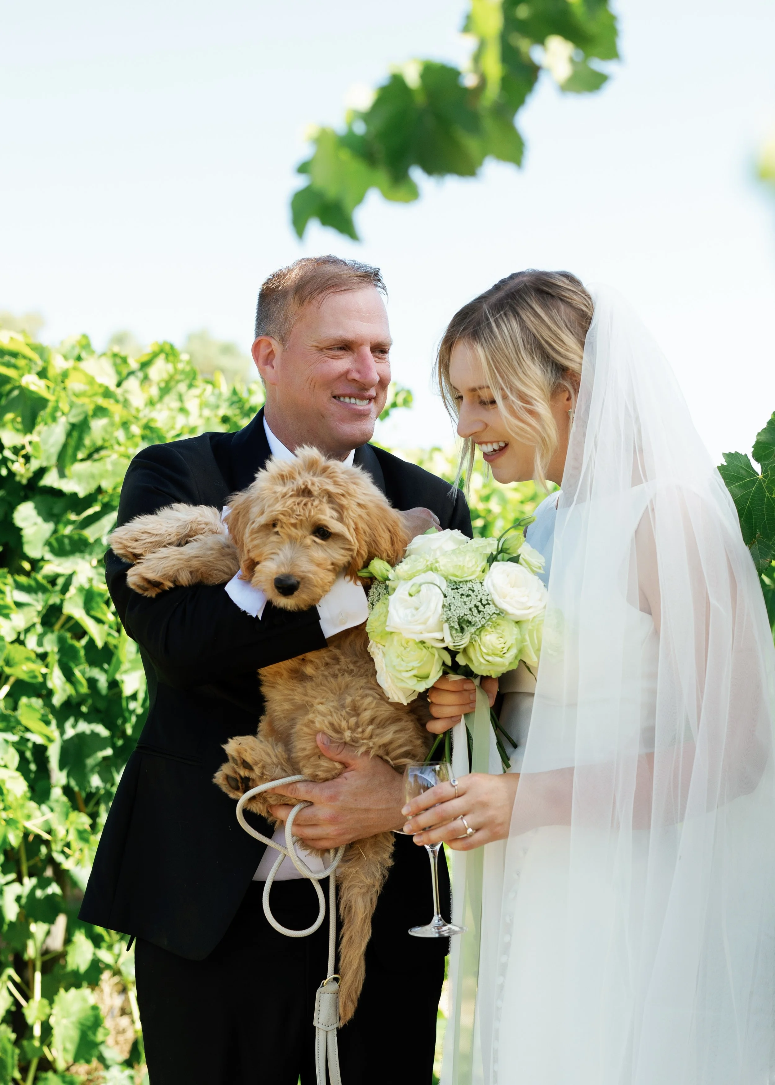 A groom in a black tuxedo holding a golden doodle puppy, with a bride in a white wedding dress and veil holding a bouquet of white roses, in an outdoor setting with green foliage.