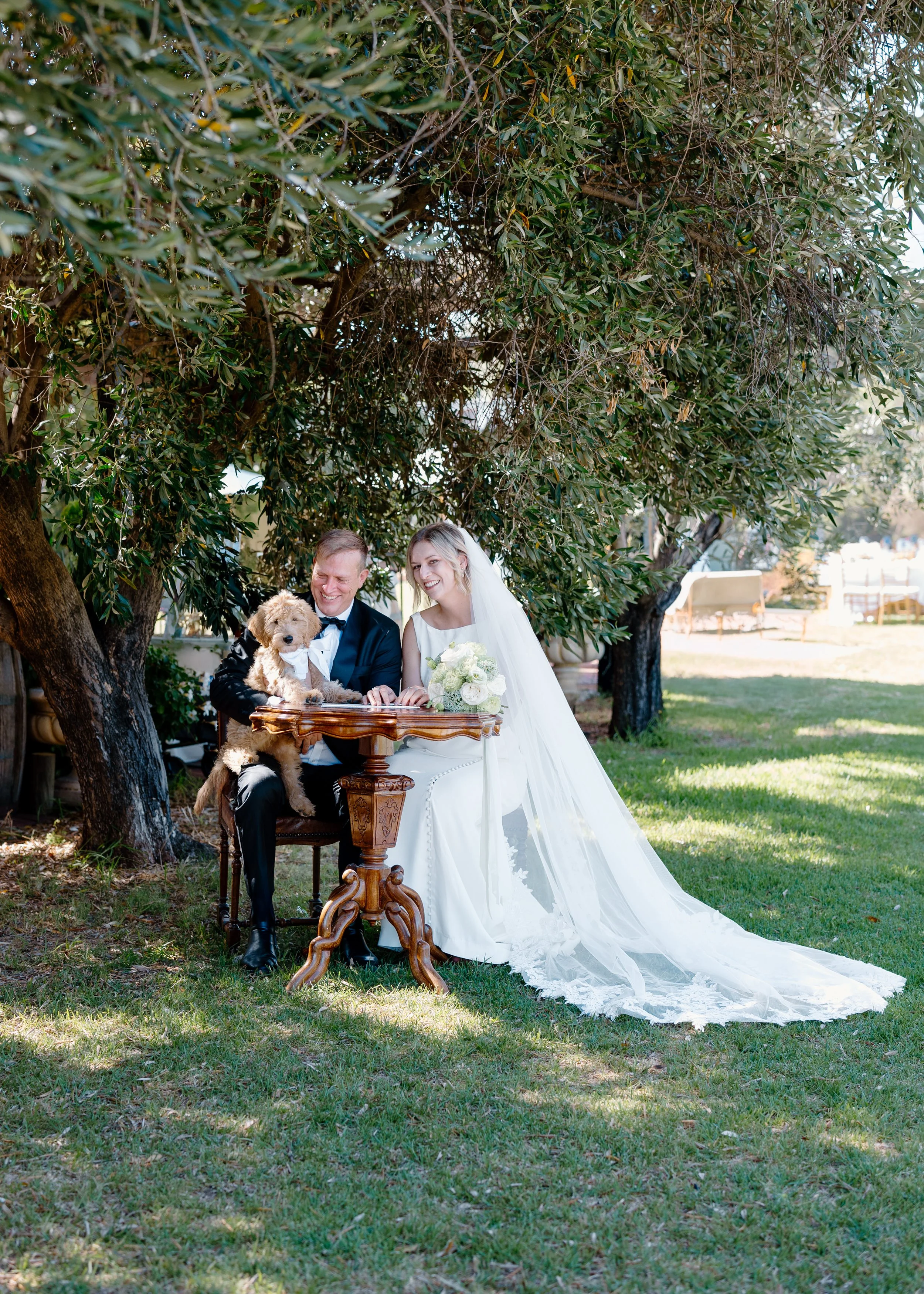 A newlywed couple in wedding attire sitting outdoors at a small wooden table under a large tree, with a dog on the table, on a sunny day.