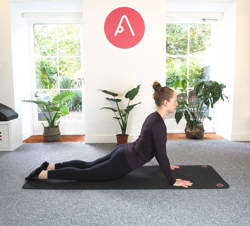 Our Top 5 Exercises for a healthy and flexible back