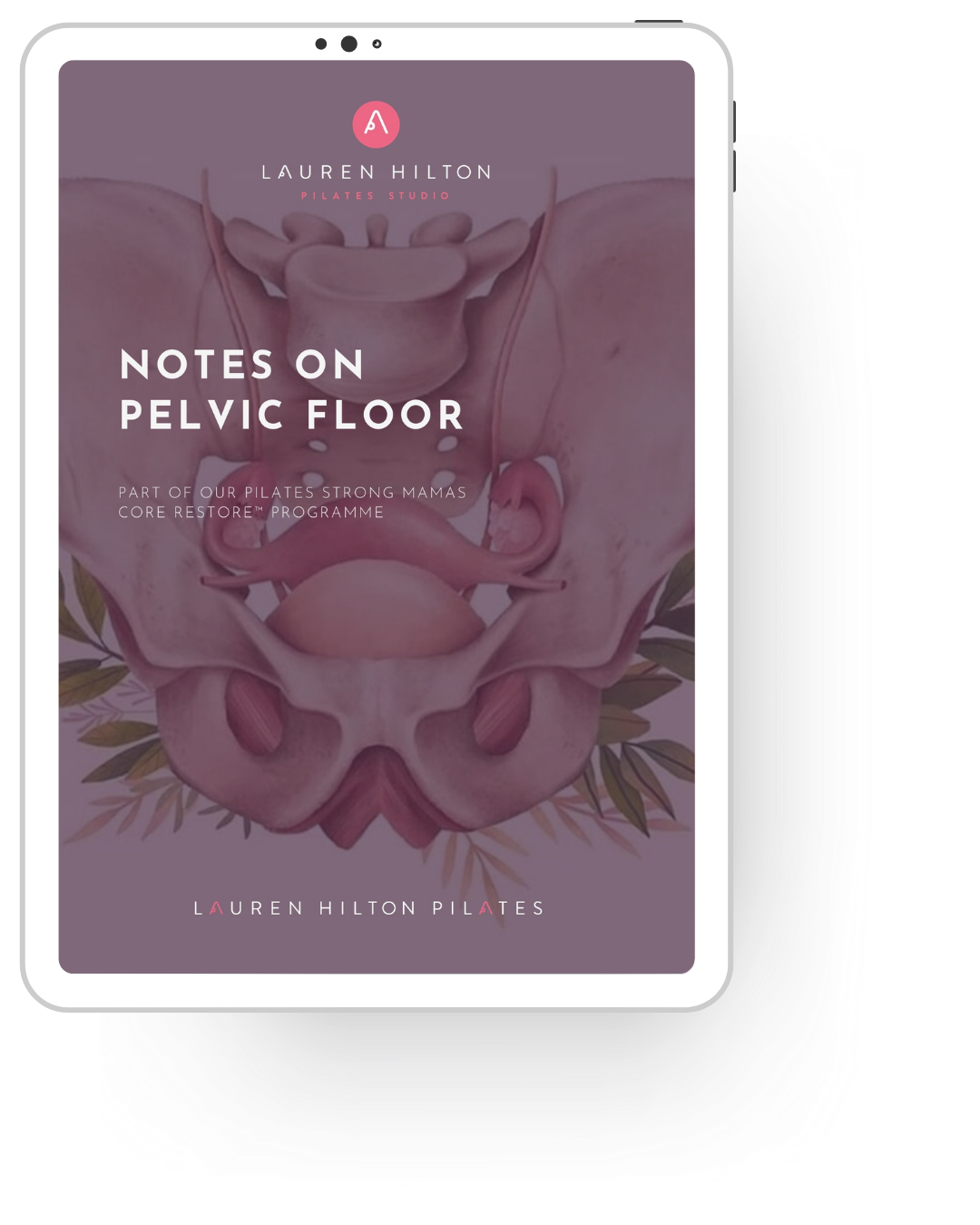 Cover of a free ebook download for Postnatal Pilates clients titled 'Notes on Pelvic Floor' with an illustration of the female pelvis and reproductive organs on a purple background.