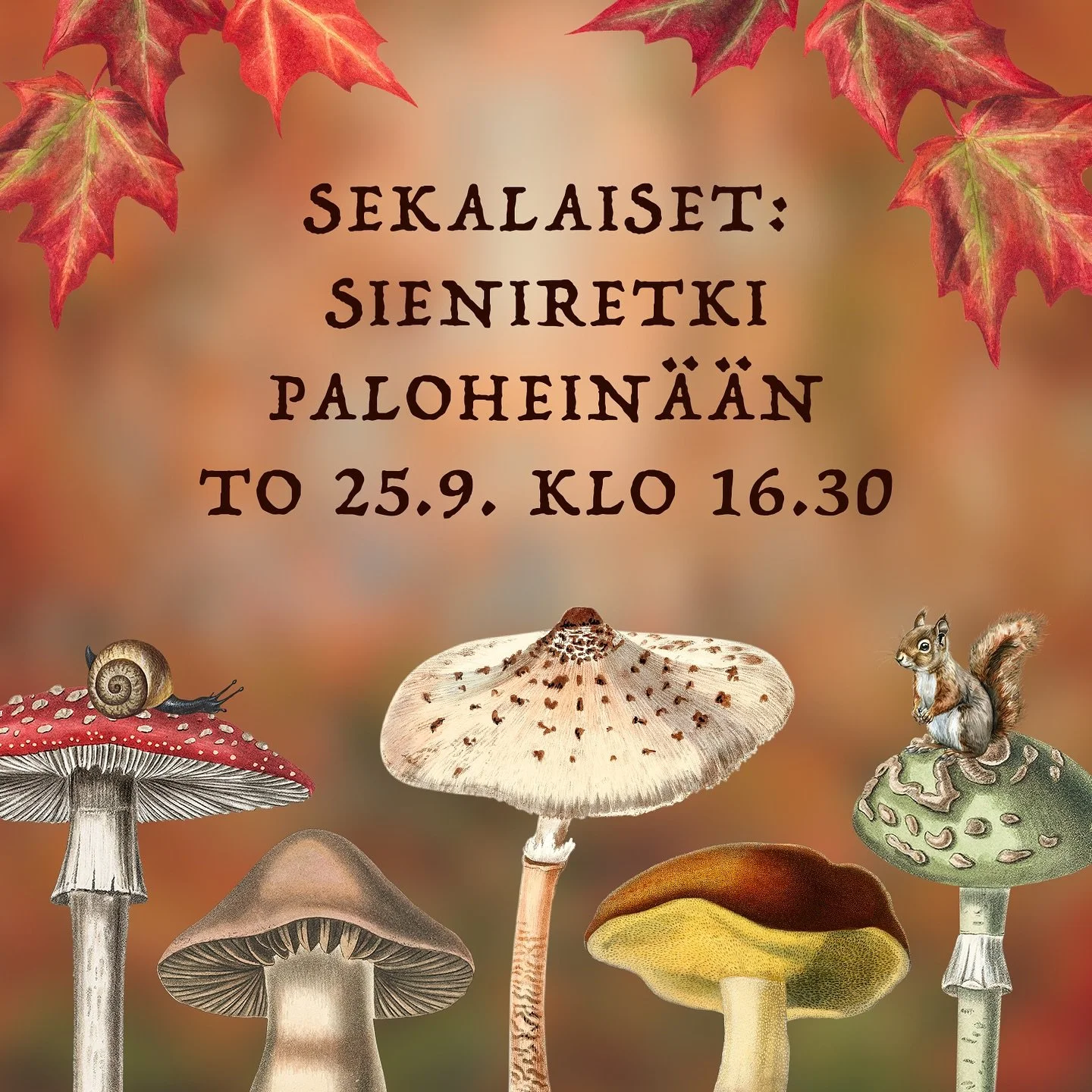 Vallilan syksyn perinteinen sieniretki saapuu j&auml;lleen!🍁❤️🍄 Oppaanamme toimii sieniasiantuntija Anna Nyman @foragingwithanna ✨ Suuntaamme Palohein&auml;&auml;n, miss&auml; Anna esittelee meille yleisimm&auml;t ruoka- ja myrkkysienet. T&auml;m&a