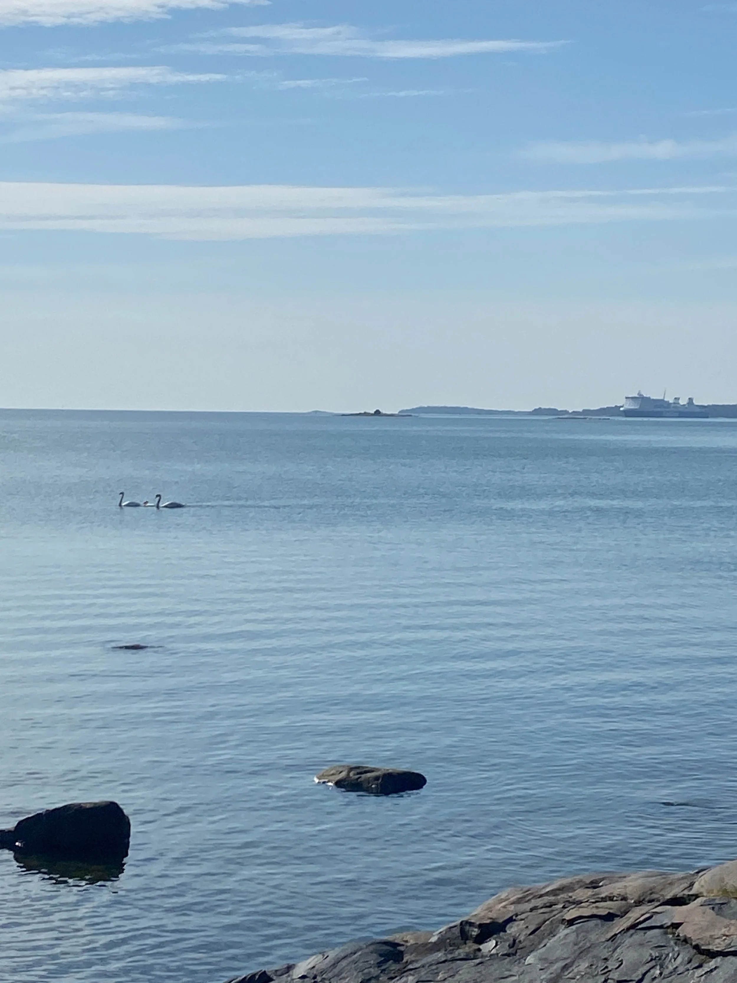 Hei vaan kaikki! Nyt k&auml;vi valitettavasti sill&auml; tavalla, ett&auml; kes&auml;inen lomakausi venytt&auml;&auml; Kohtaus Vallilassa ilmanvaihdon kunnostusta ja joudumme sen takia siirt&auml;m&auml;&auml;n Vallilan toimintaa Malmille Hein&auml;-