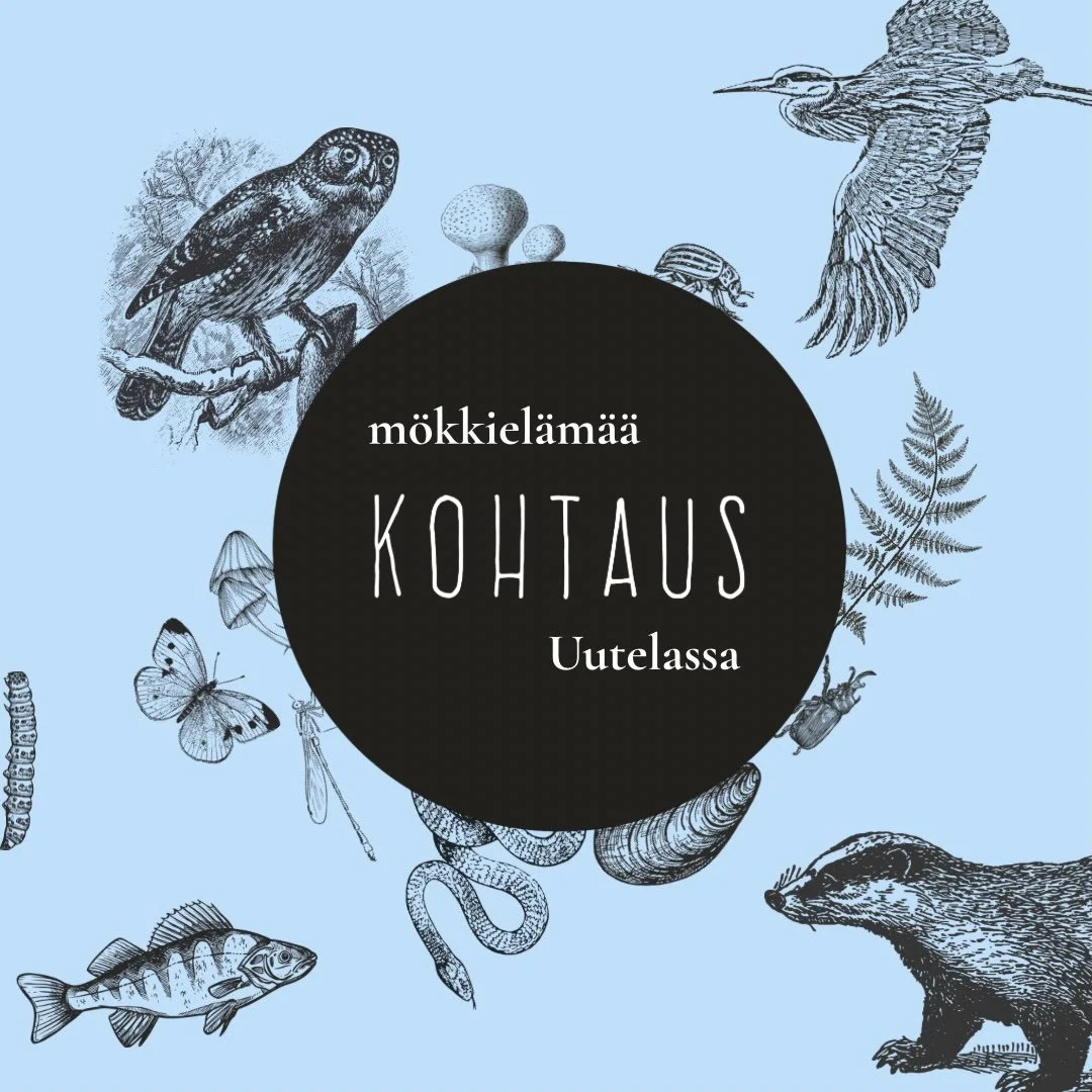 Kohtauksen m&ouml;kkiel&auml;m&auml;&auml; Uutelassa 7.7.-17.7.2026 🦡🌊 eng below

🦋 Kohtaus kaupunkiolohuoneet muuttavat kahdeksi viikoksi Uutelan k&auml;mp&auml;lle Vuosaareen!

🦋 Lue leirikirje osoitteesta kohtaus.info tai biosta

🩵 Kiitos Hel
