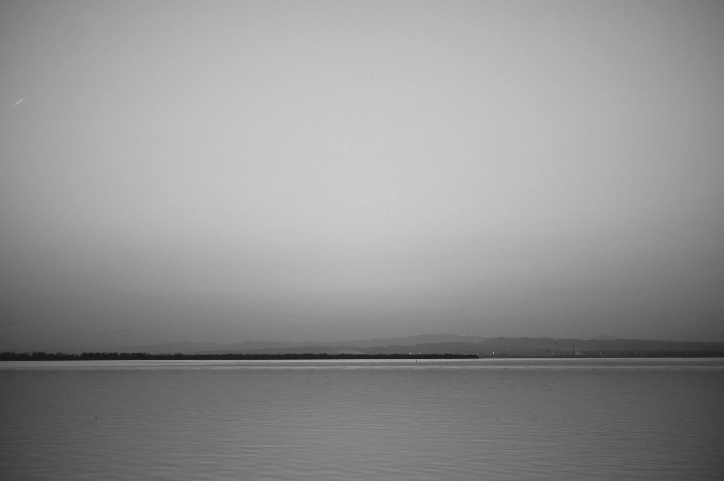 Albufera-3.jpg