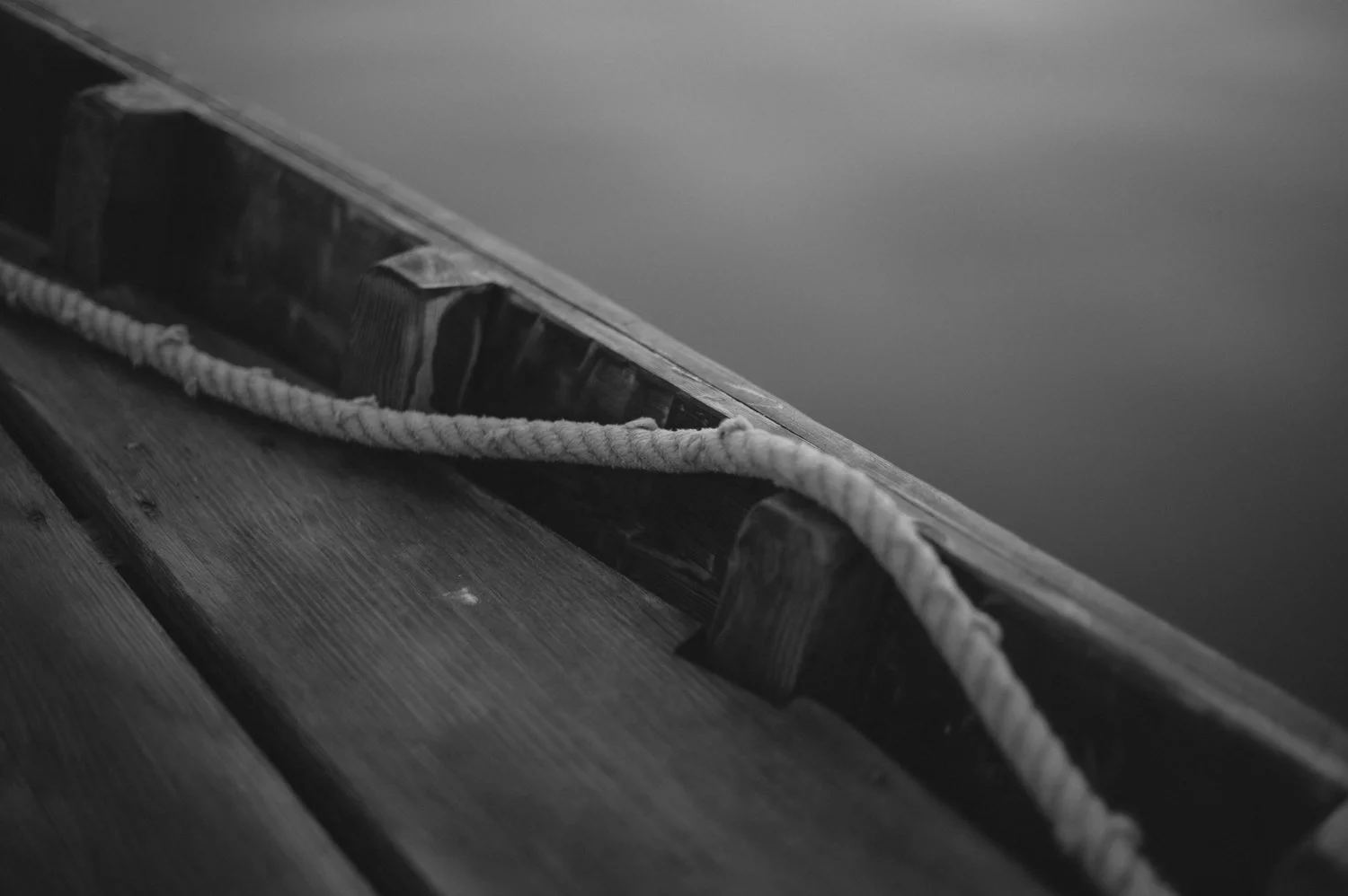 valencia_terreta_albufera_photography-1.jpg
