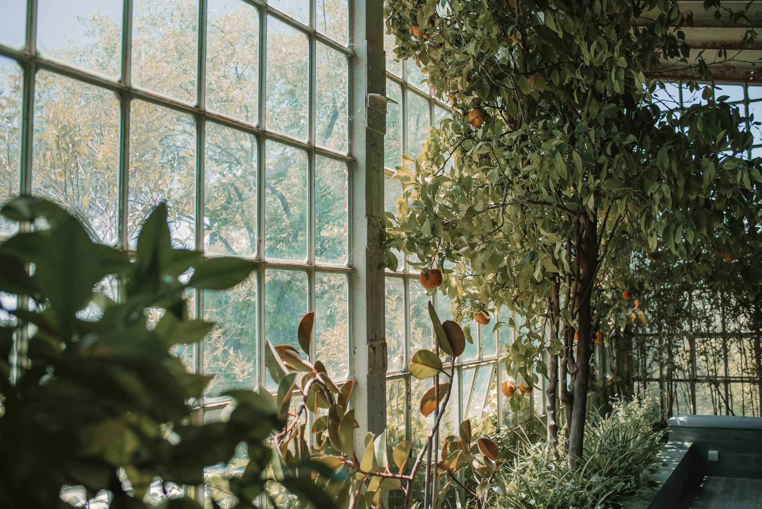 Finca San Antonio-13.jpg