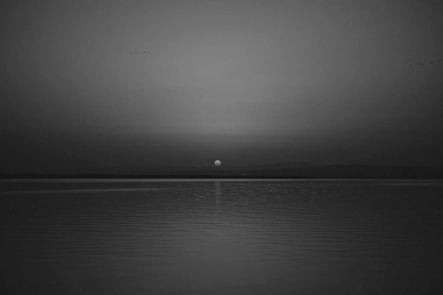 valencia_terreta_albufera_photography-7.jpg