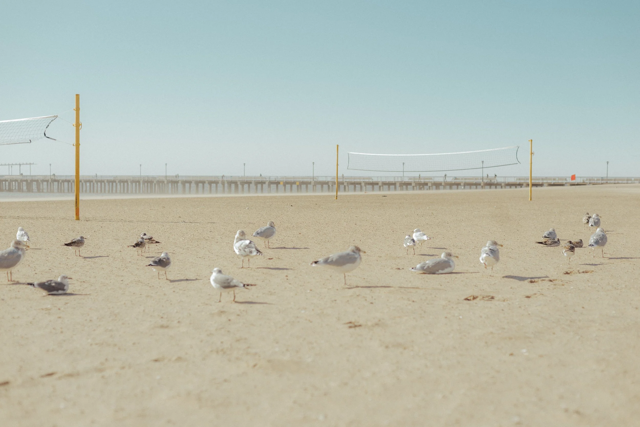 coneyisland_ny_photography19.jpg