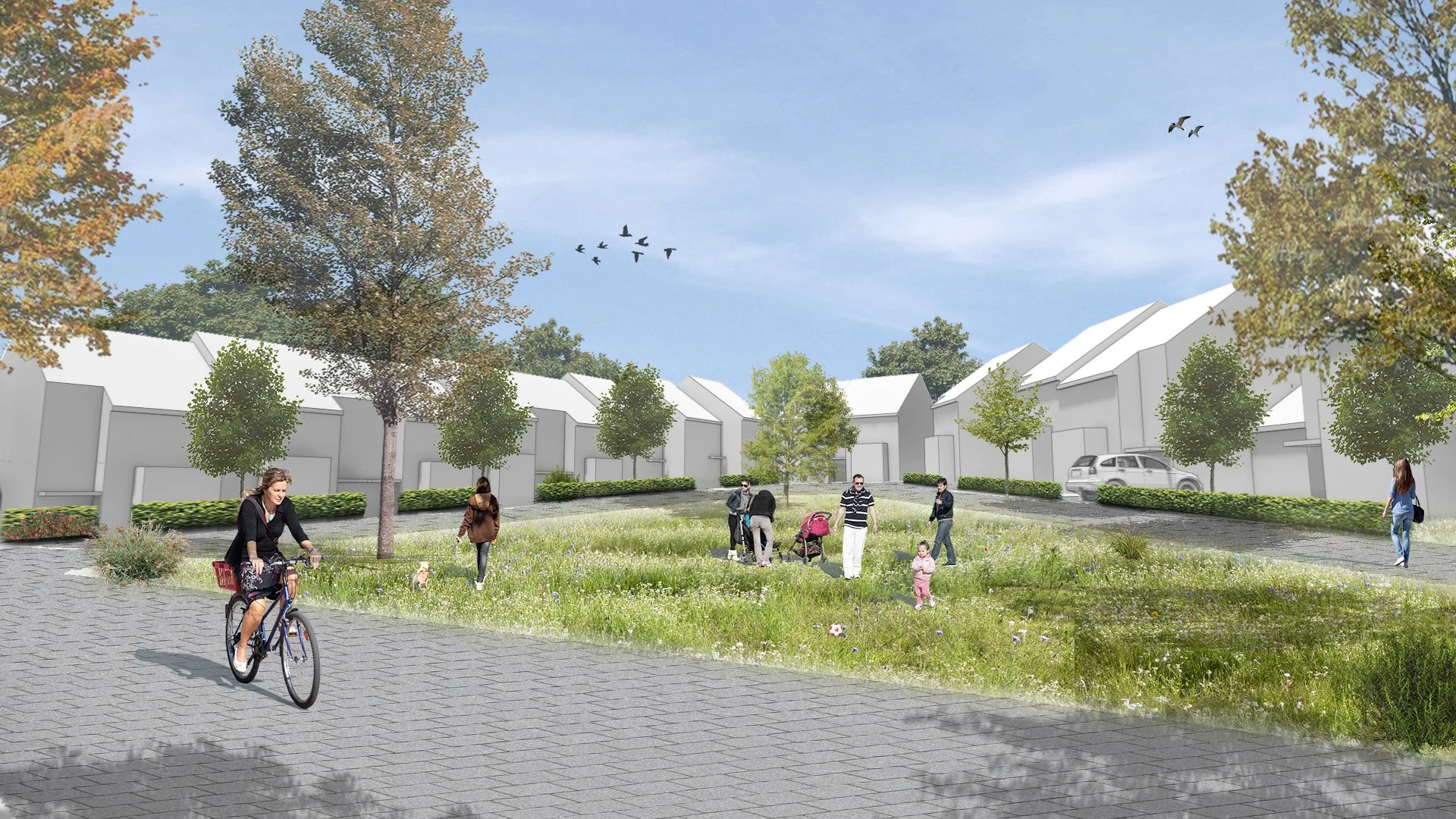 Development Frameworks Design Code.jpg